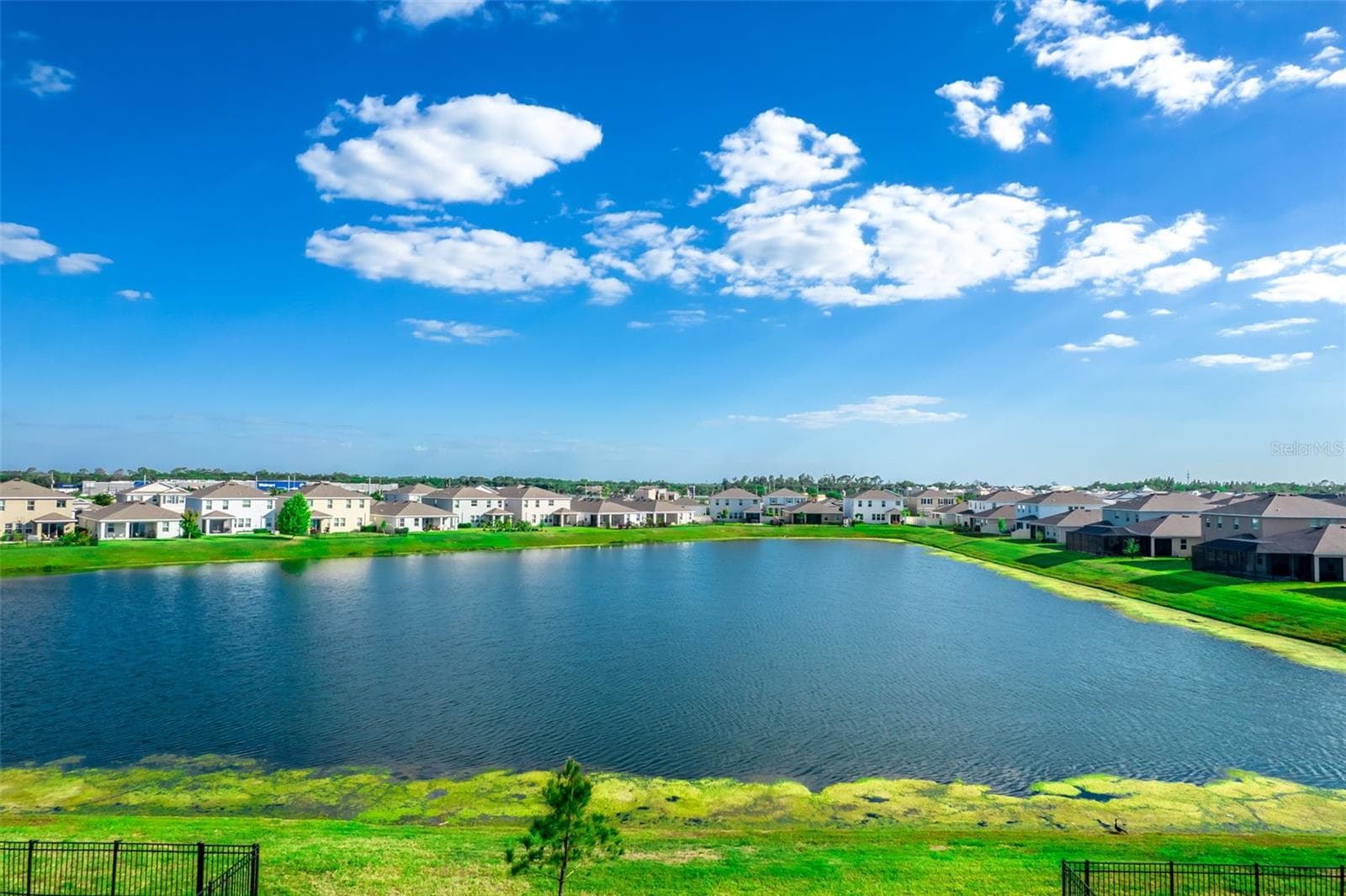 176 Bright Ibis Ave