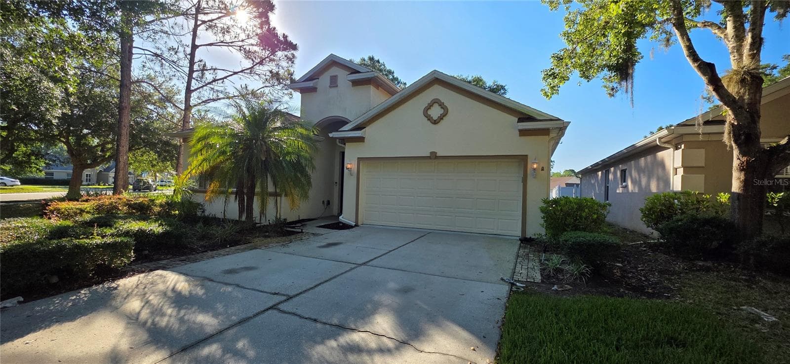 10906 Tree Cactus Loop