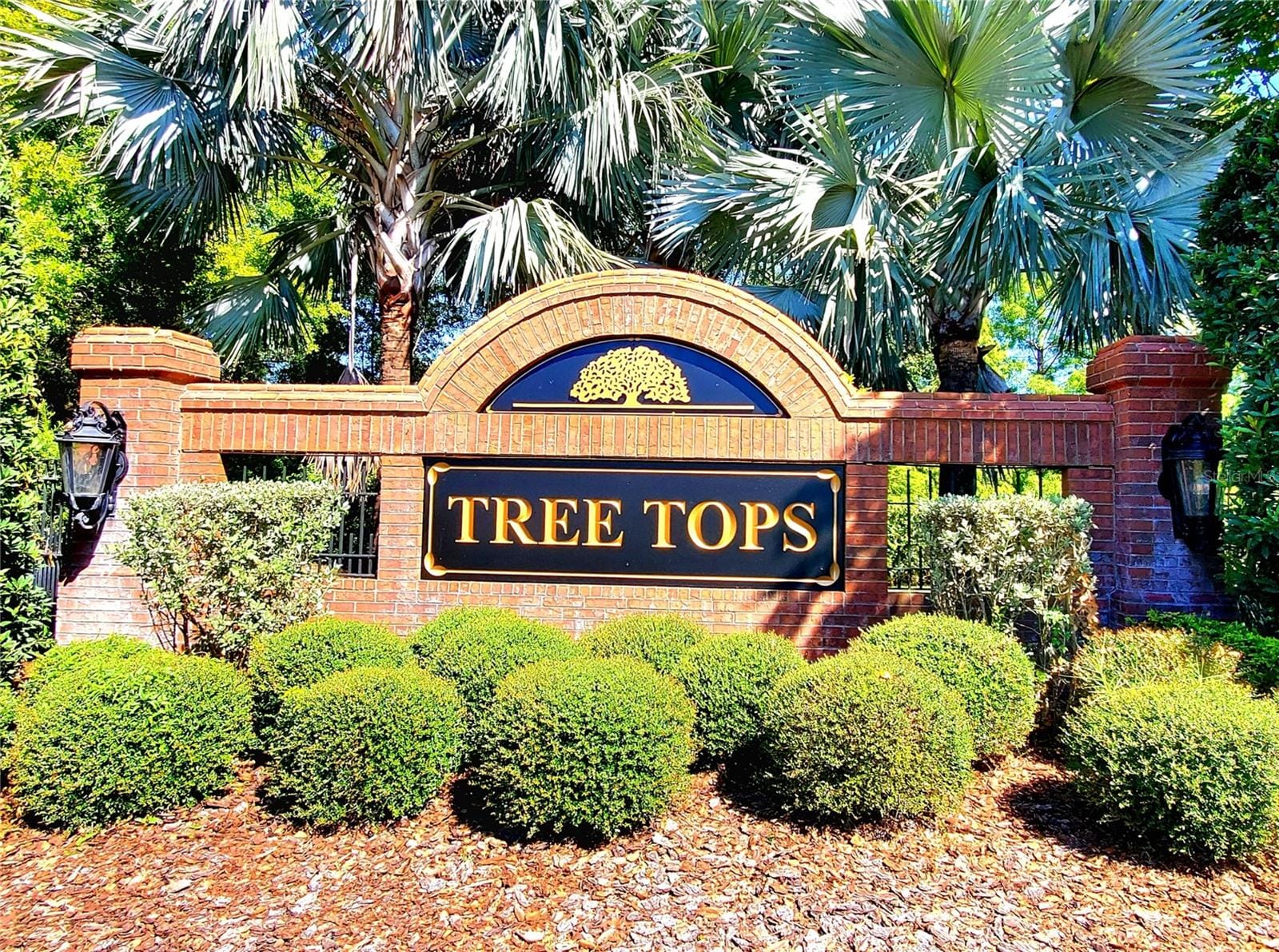 10004 Tree Tops Lake Rd photo 2