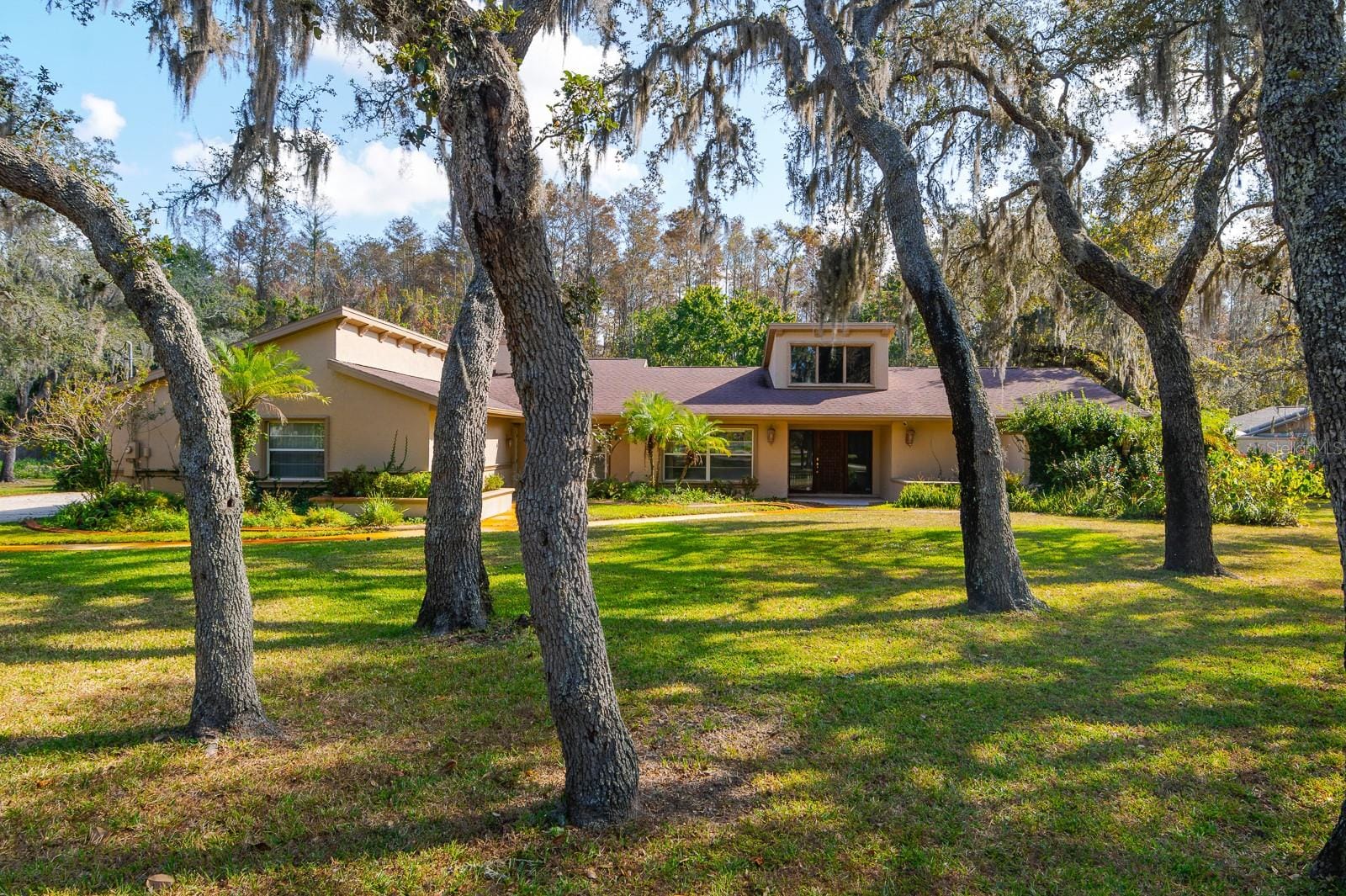 10206 Lakeview Dr photo 3
