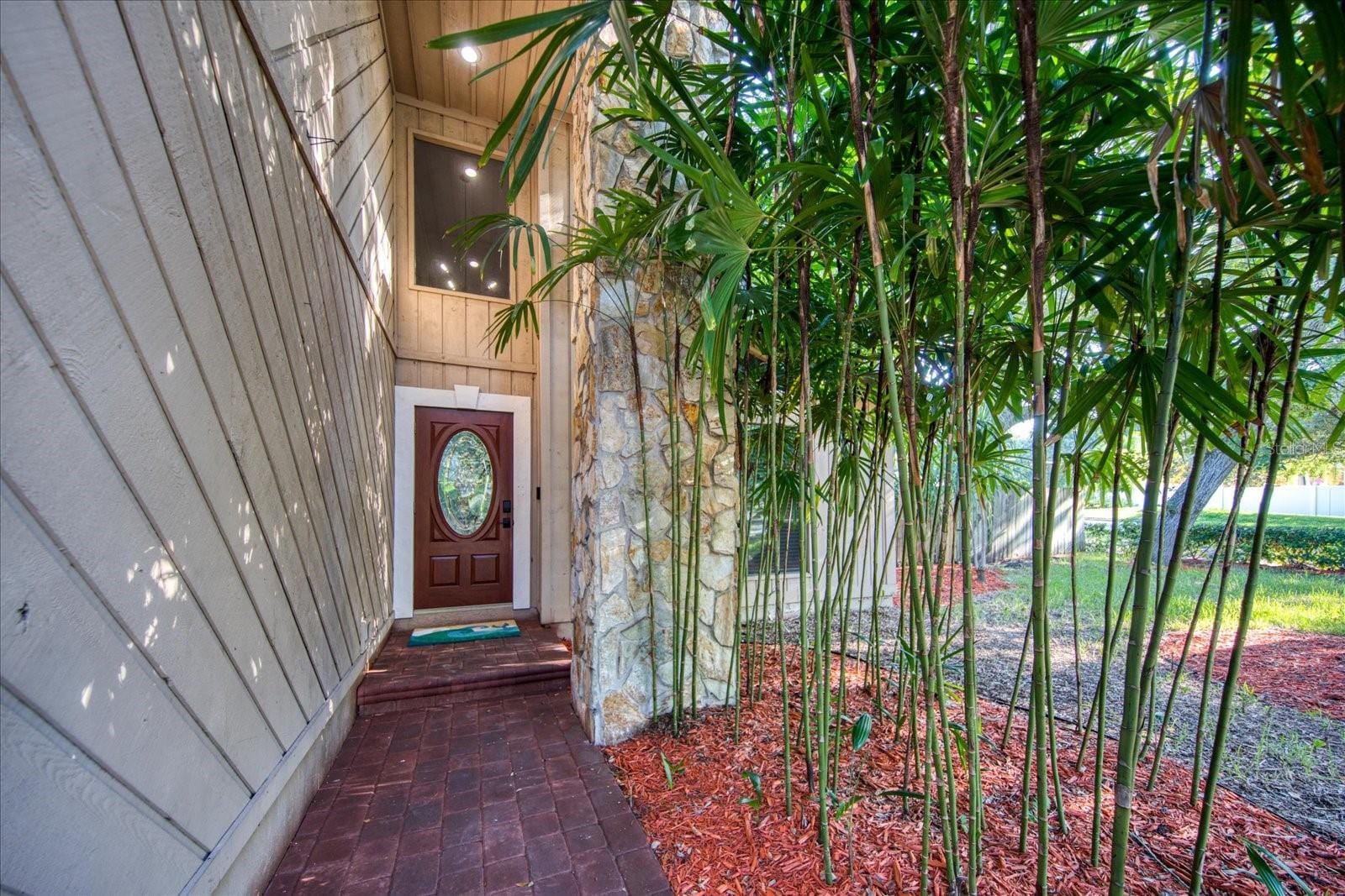 13703 Oak Forest Blvd N photo 4