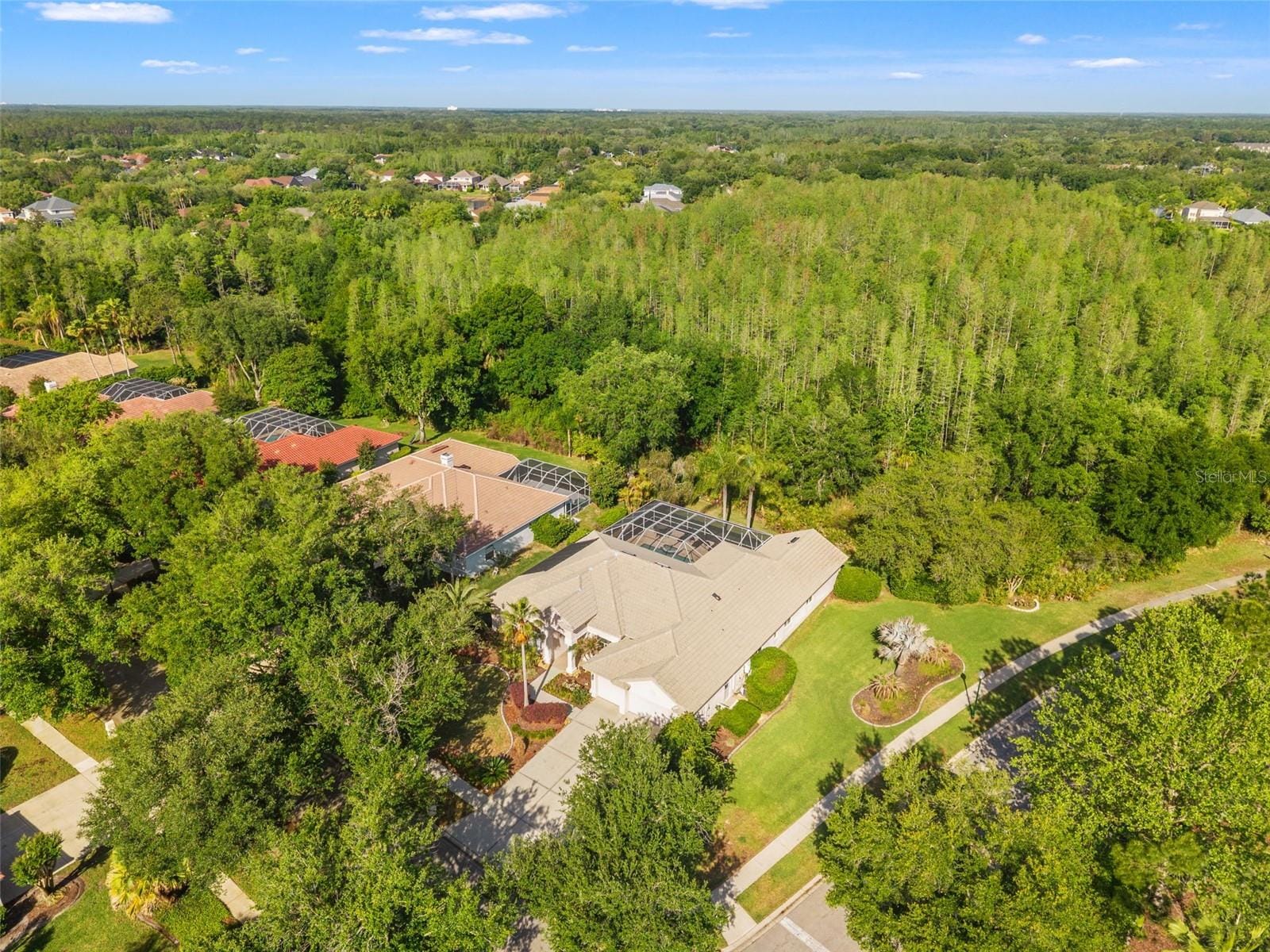 17890 Arbor Greene Dr photo 4