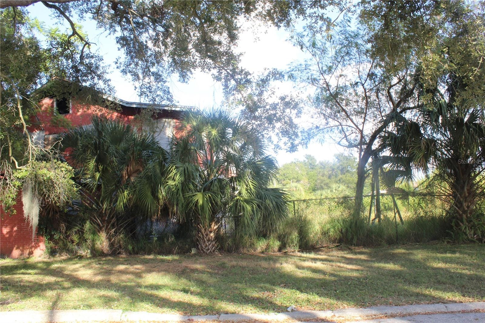 Photo 41