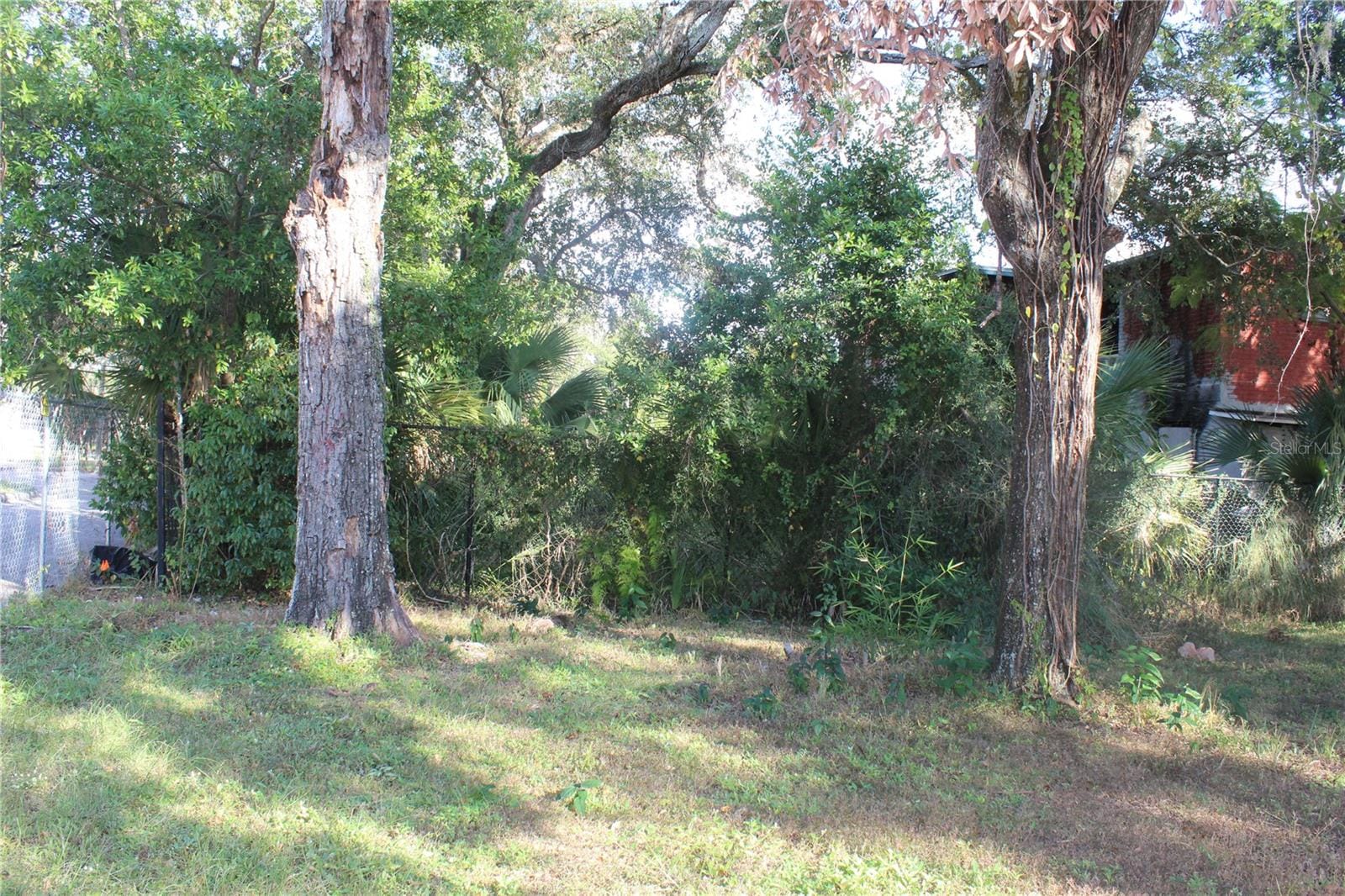 Photo 39