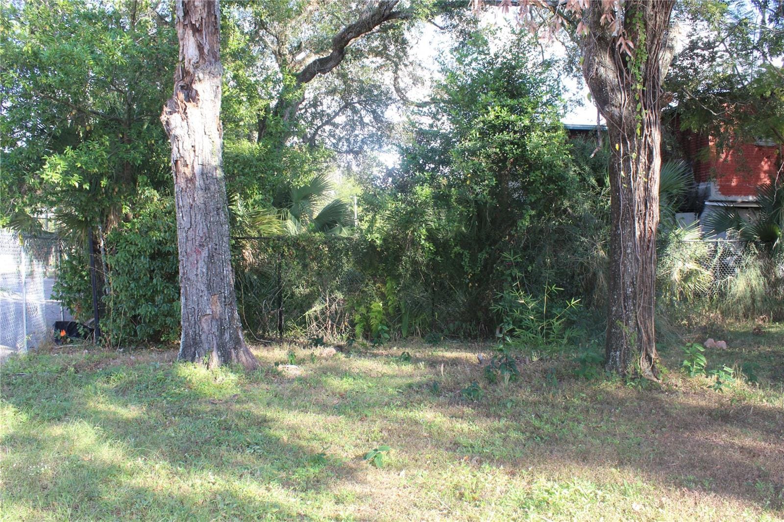 Photo 42