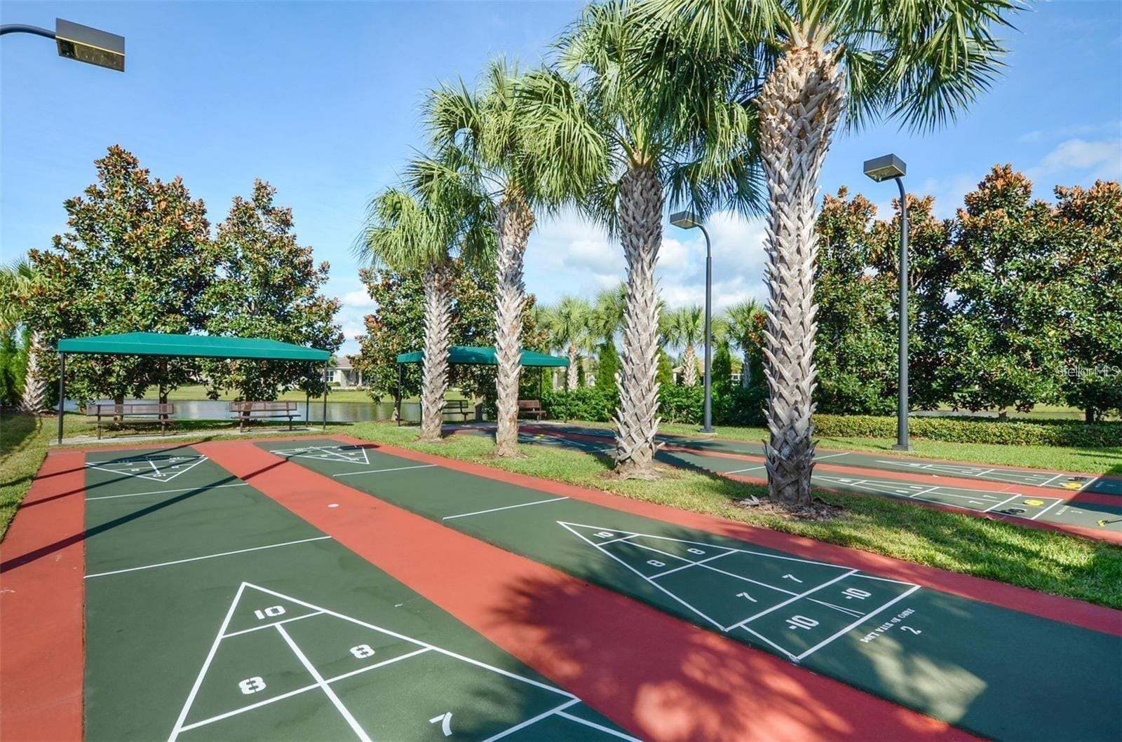 Photo 62