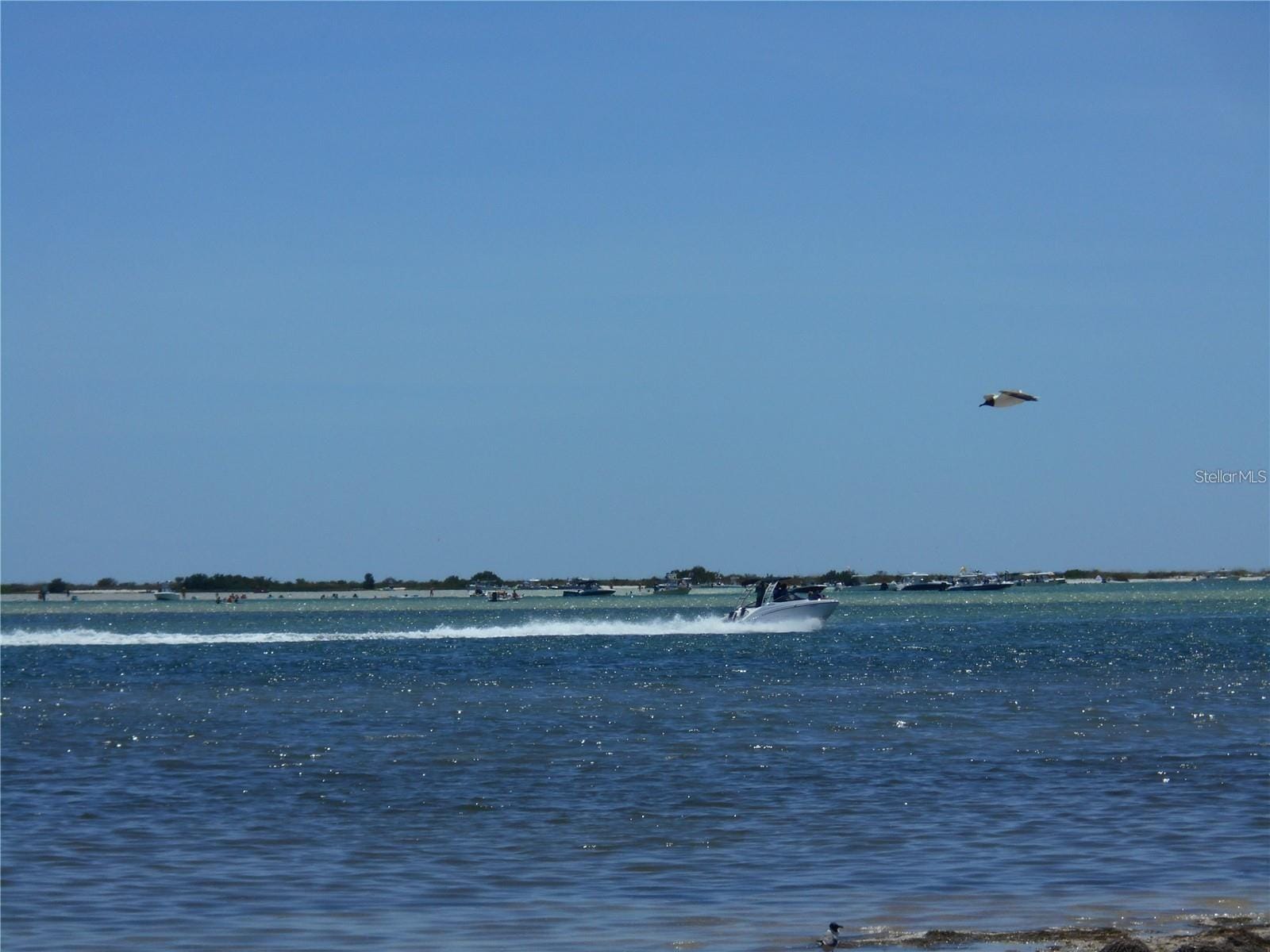 Photo 33