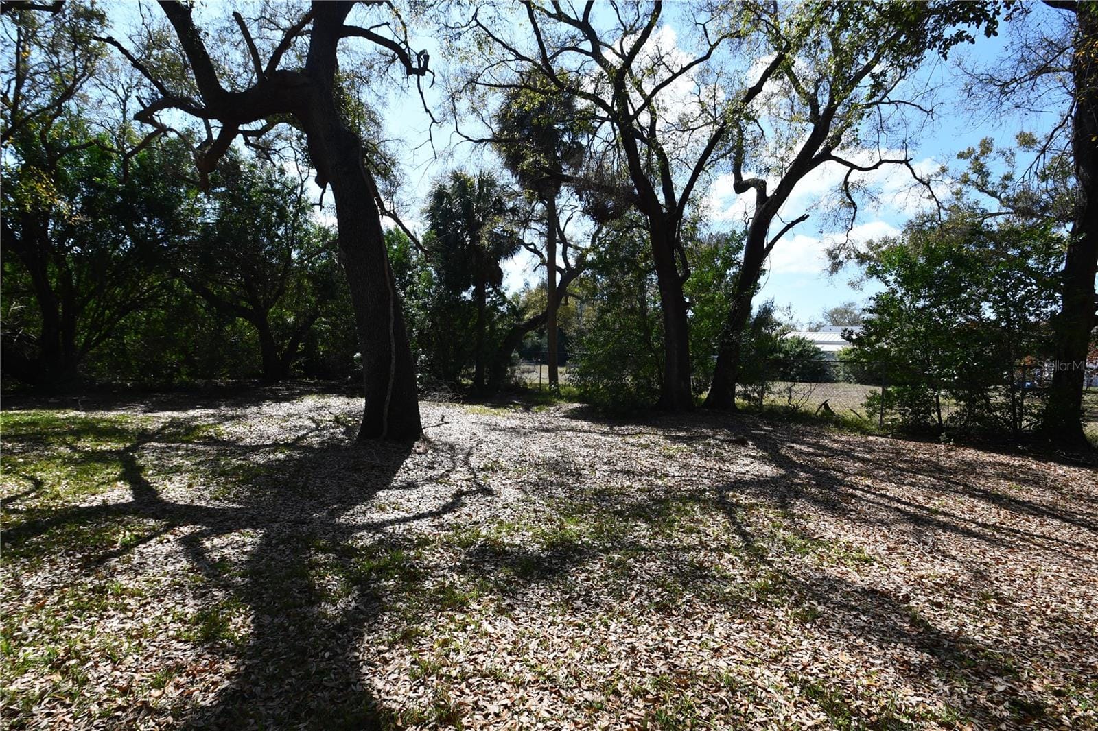 Photo 49