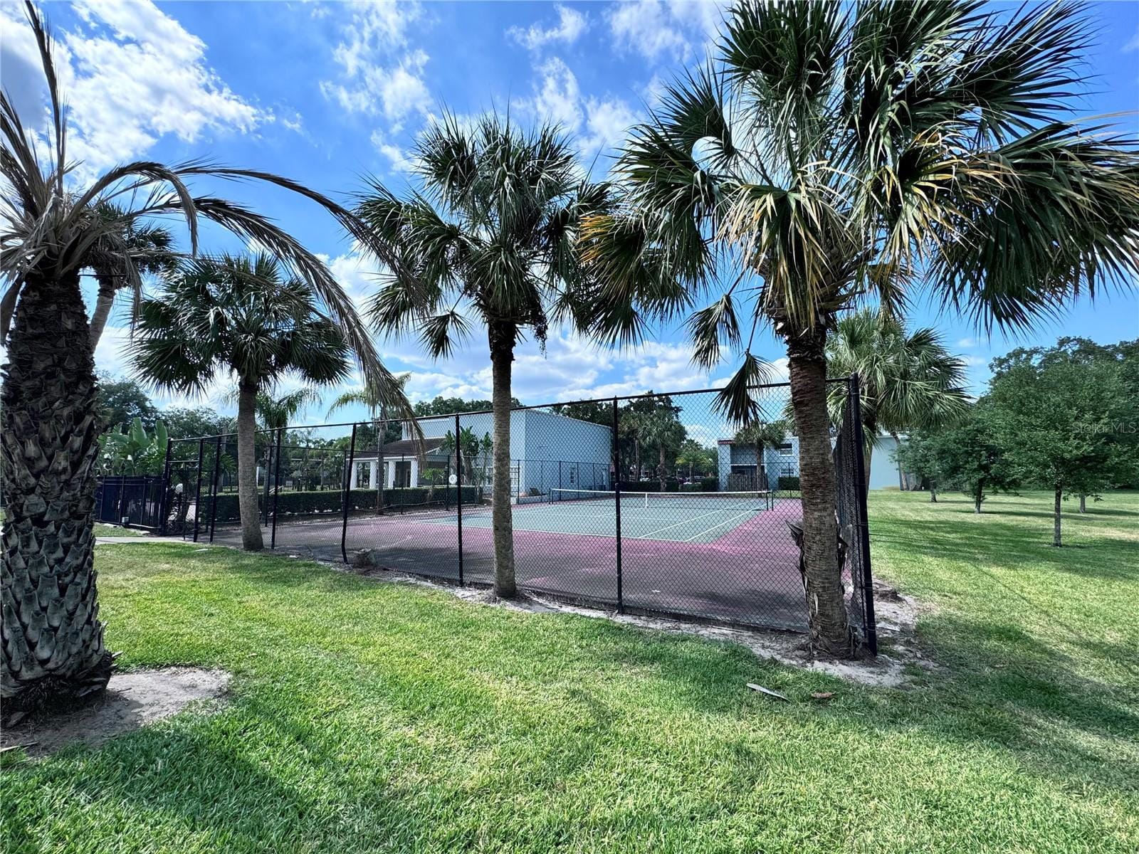 Photo 24
