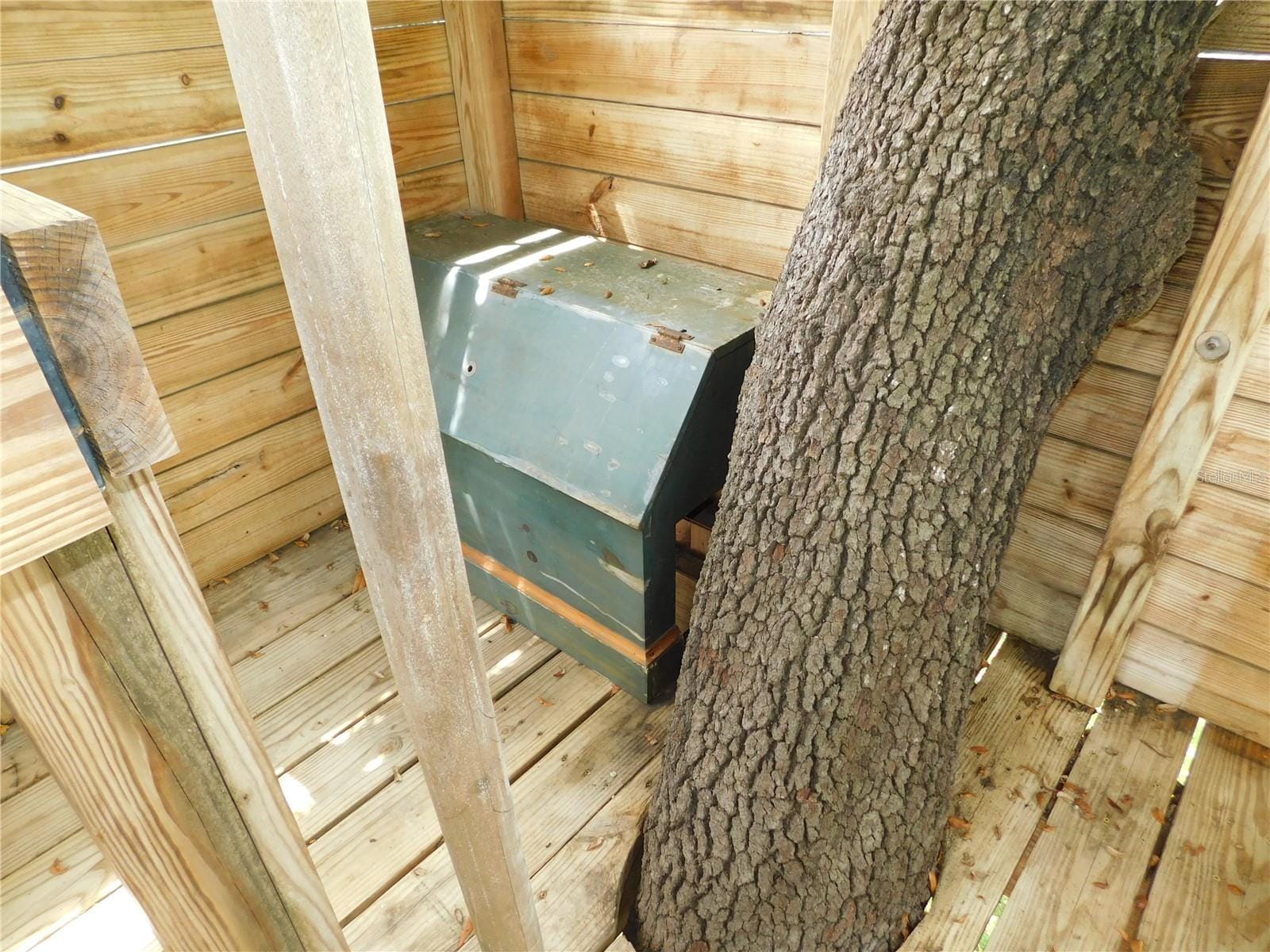 Photo 48