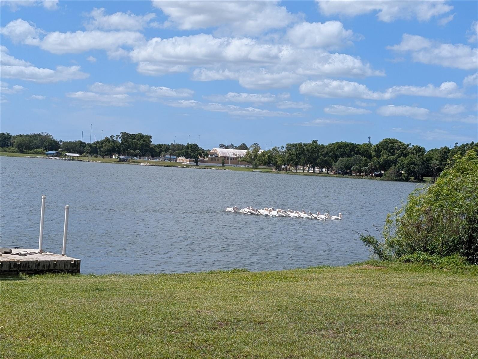 Photo 48