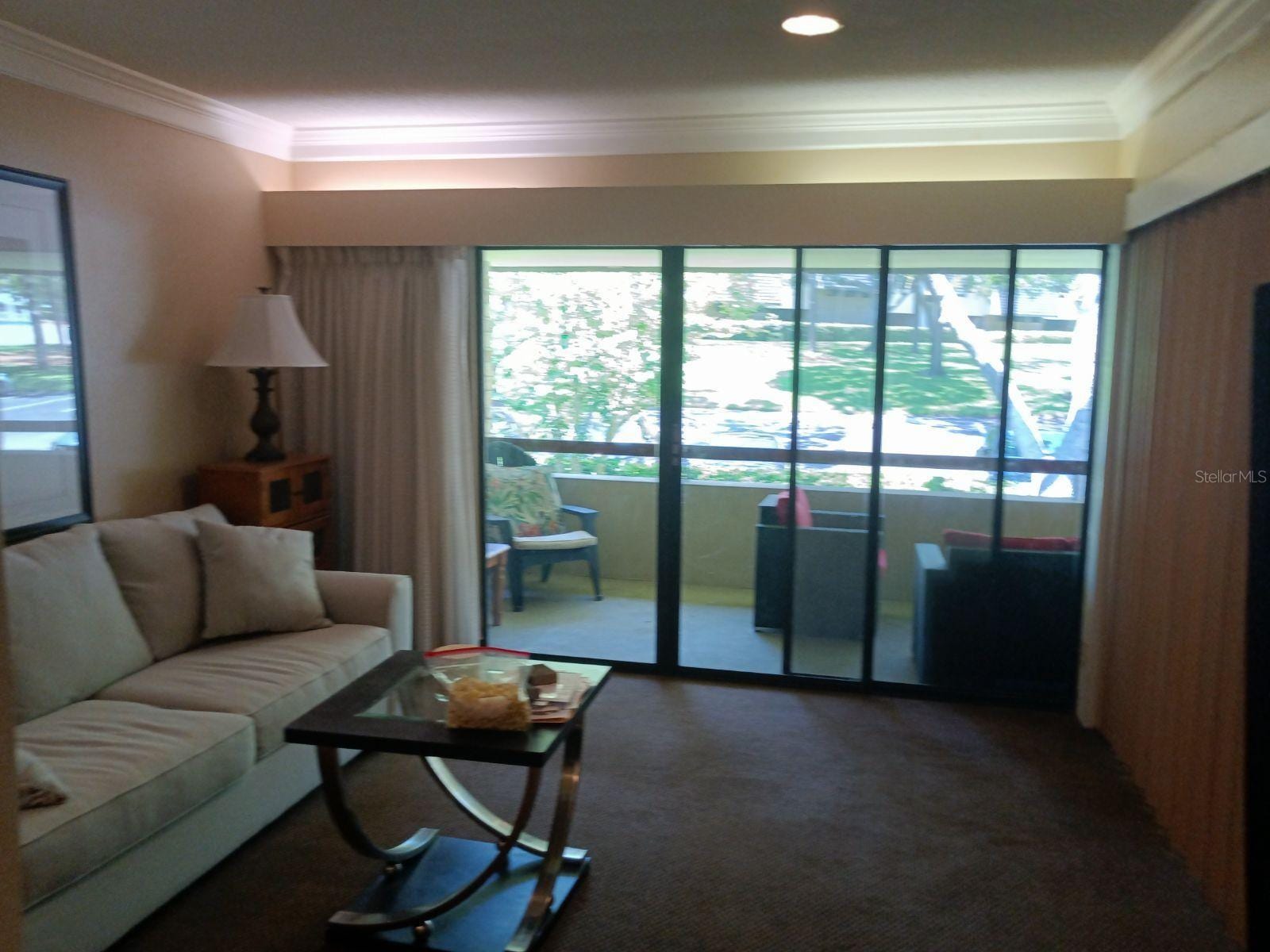 36750 Us Highway 19 N #13-216 photo 3