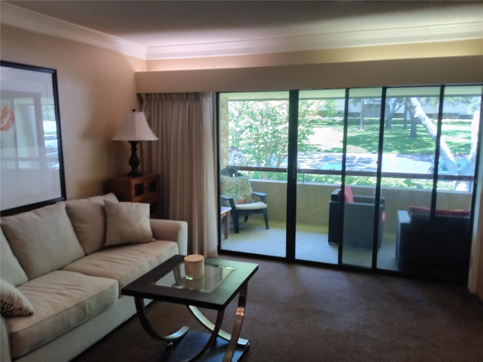 36750 Us Highway 19 N #13-216 photo 4