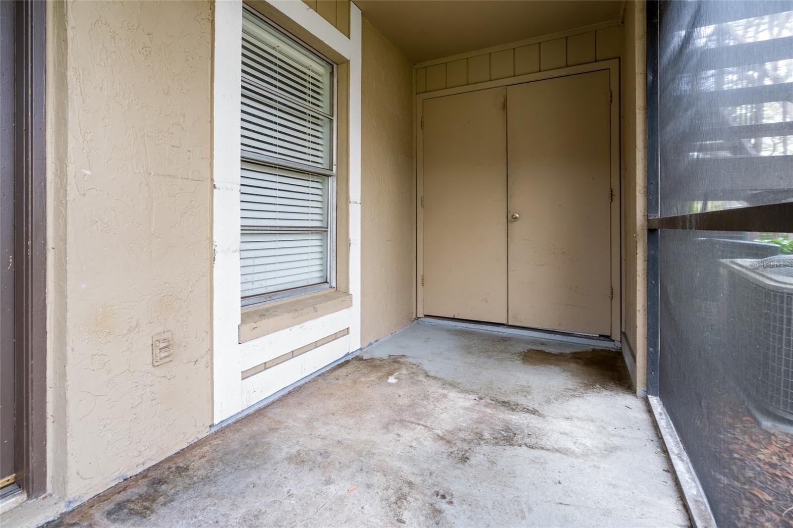 14323 Hanging Moss Cir #102 photo 3