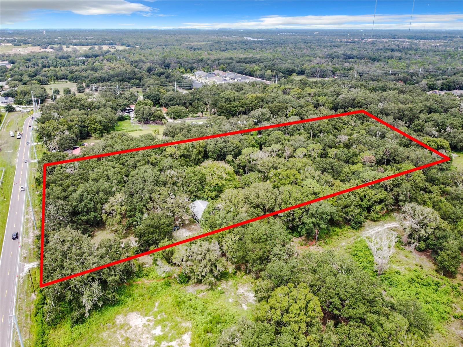 16206 Boyette Rd photo 2