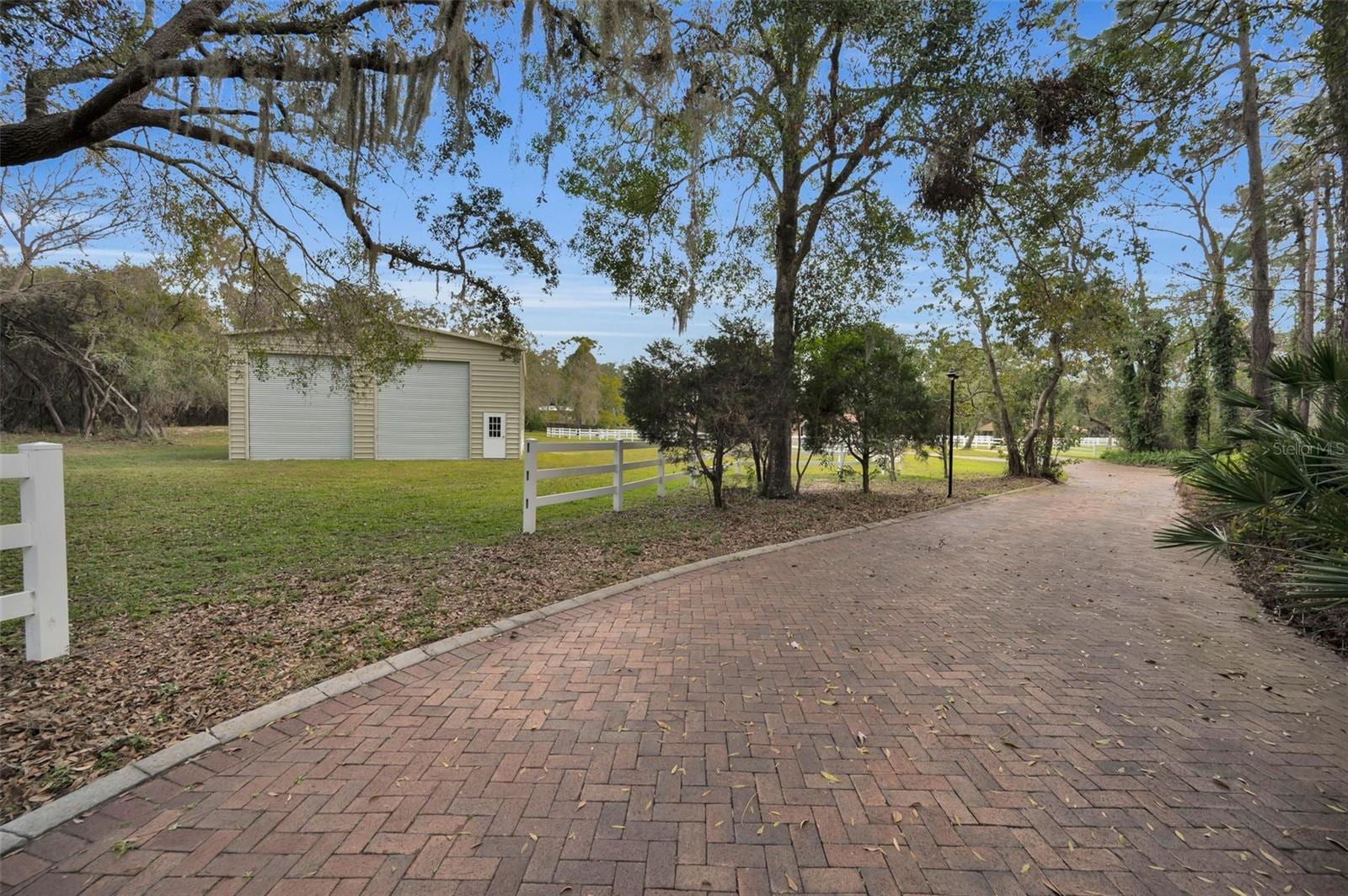 249 Dogwood Trce photo 4