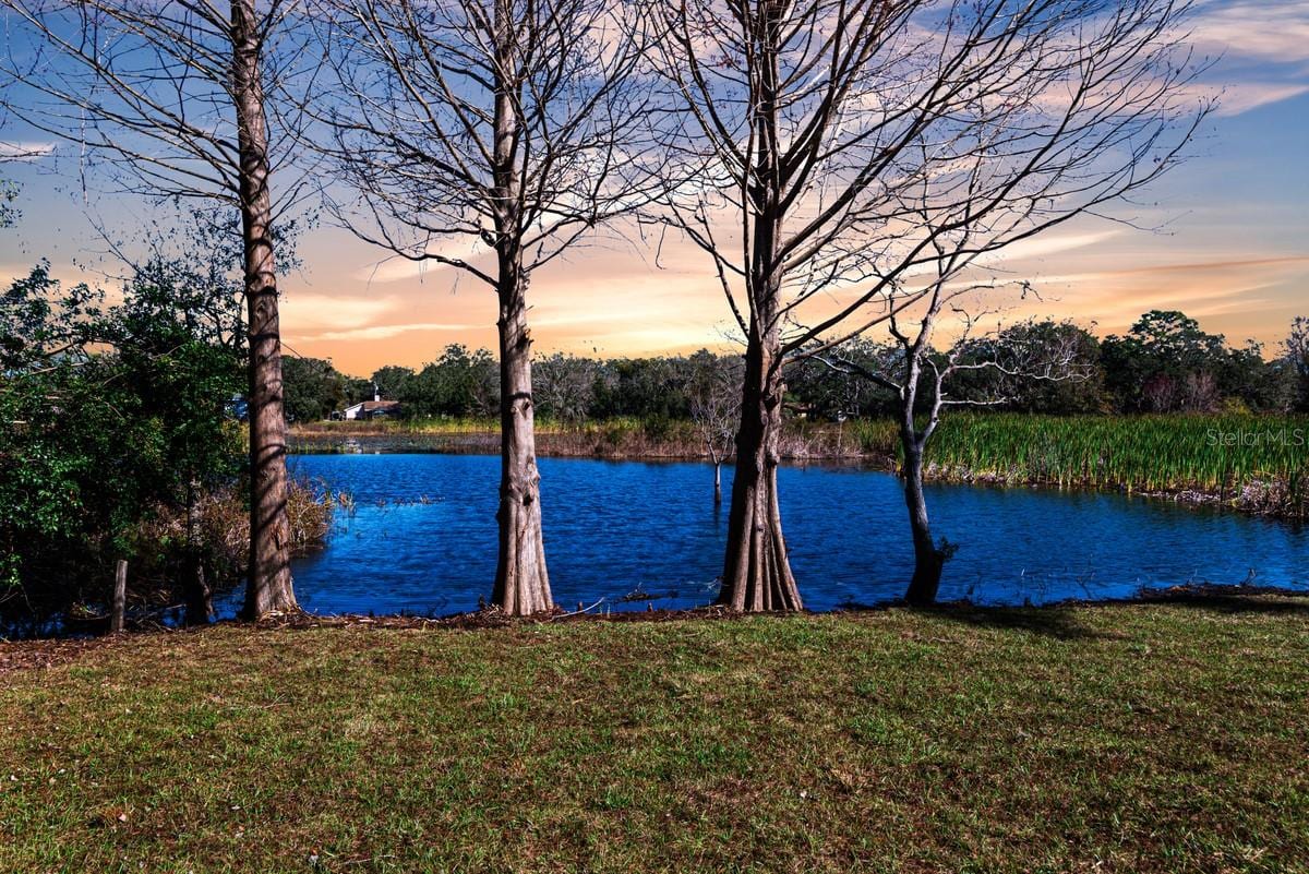 11416 Pine Forest Dr photo 2