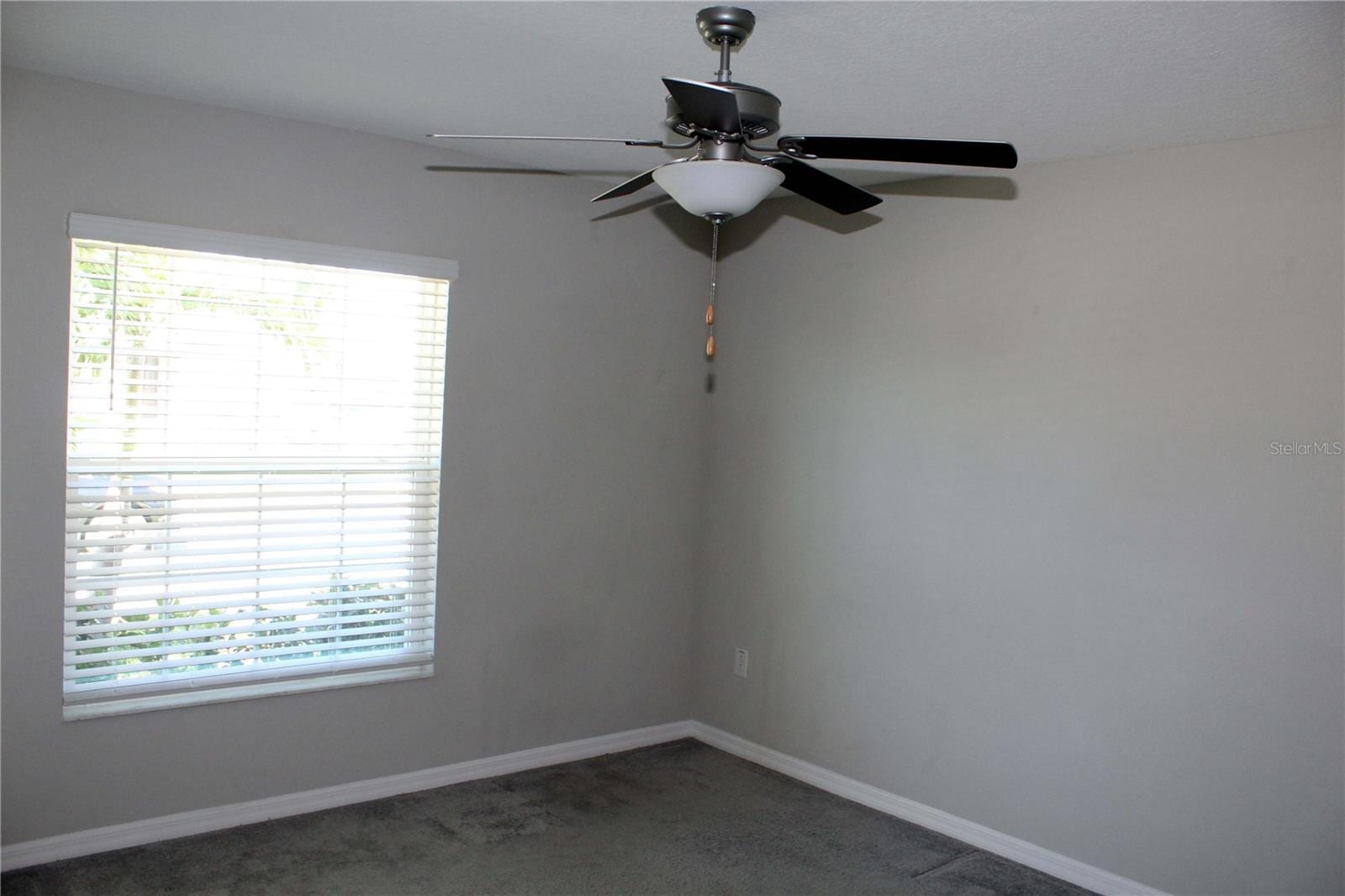 17152 Sunshine Mimosa St photo 5