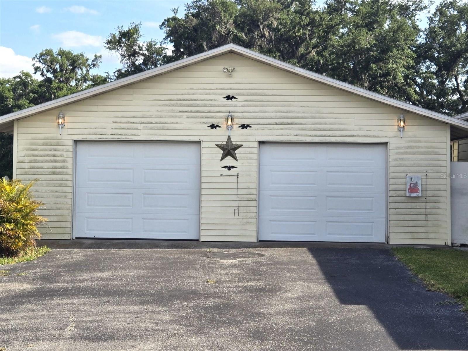 3101 Medulla Rd photo 4