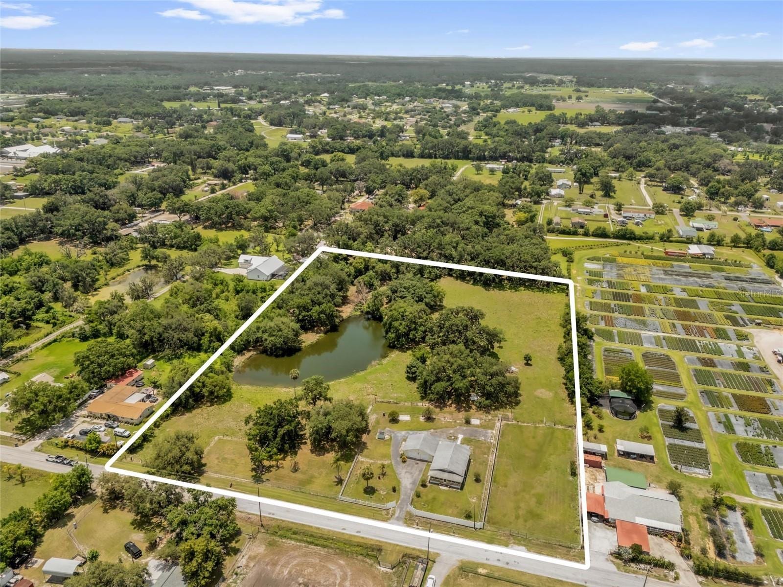 3101 Medulla Rd photo 5