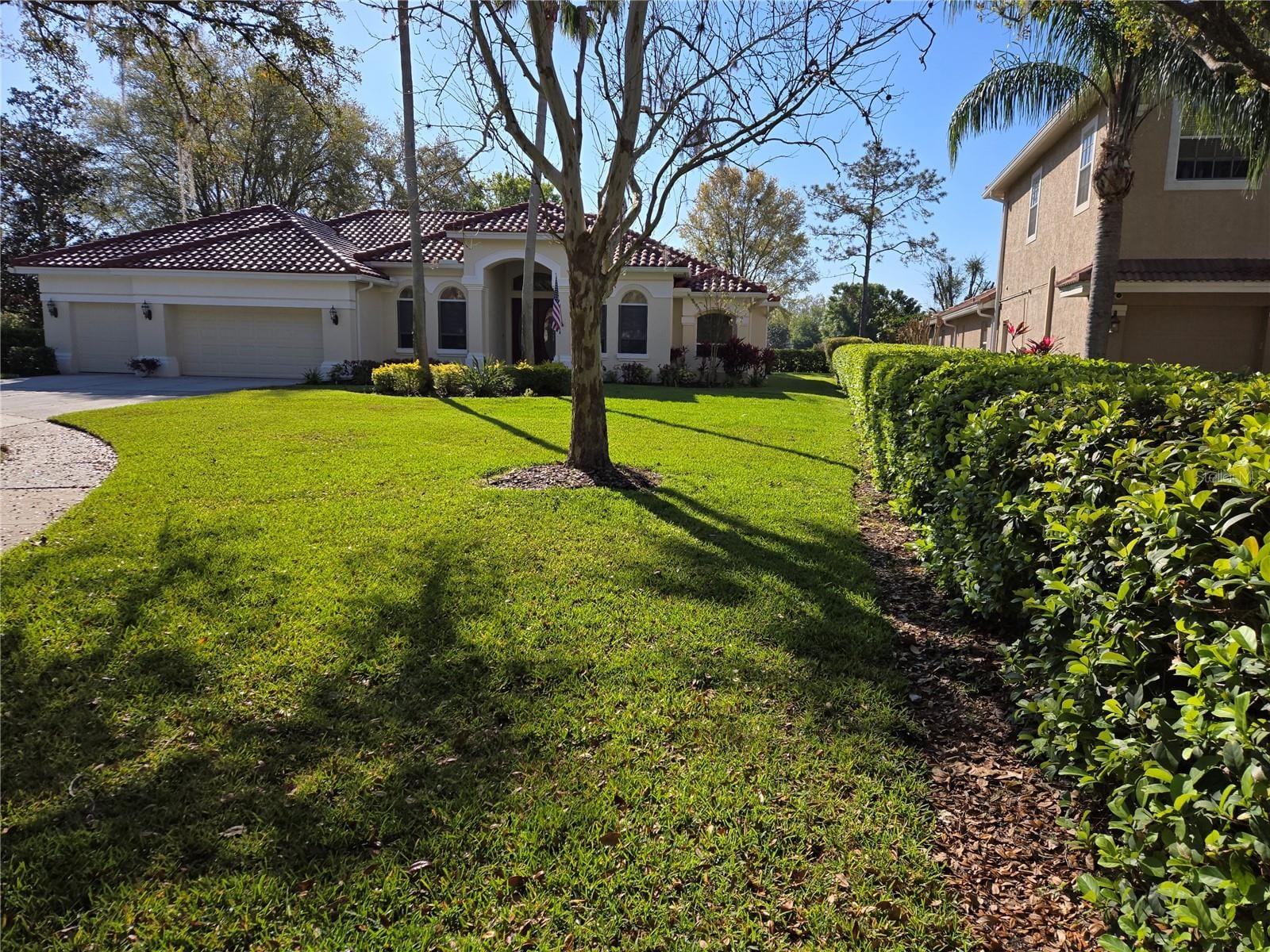 9127 Woodridge Run Dr photo 3