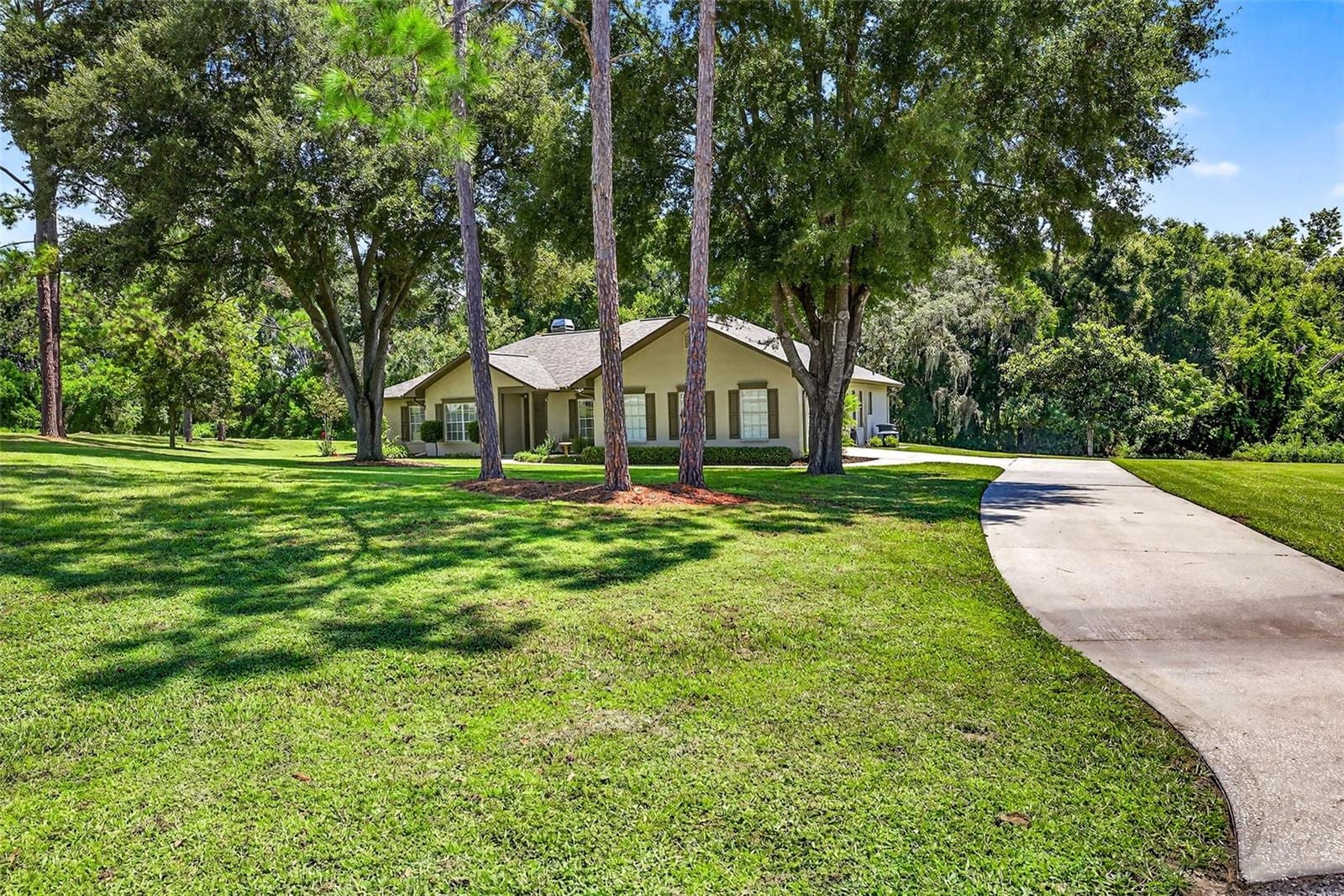 11240 Grandview Dr photo 3
