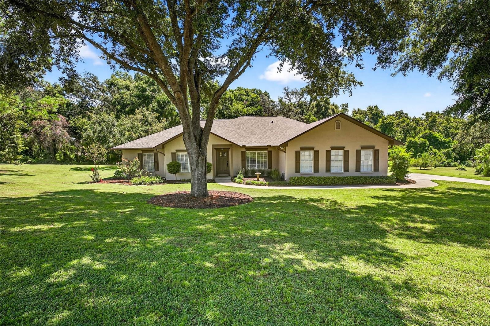 11240 Grandview Dr photo 4