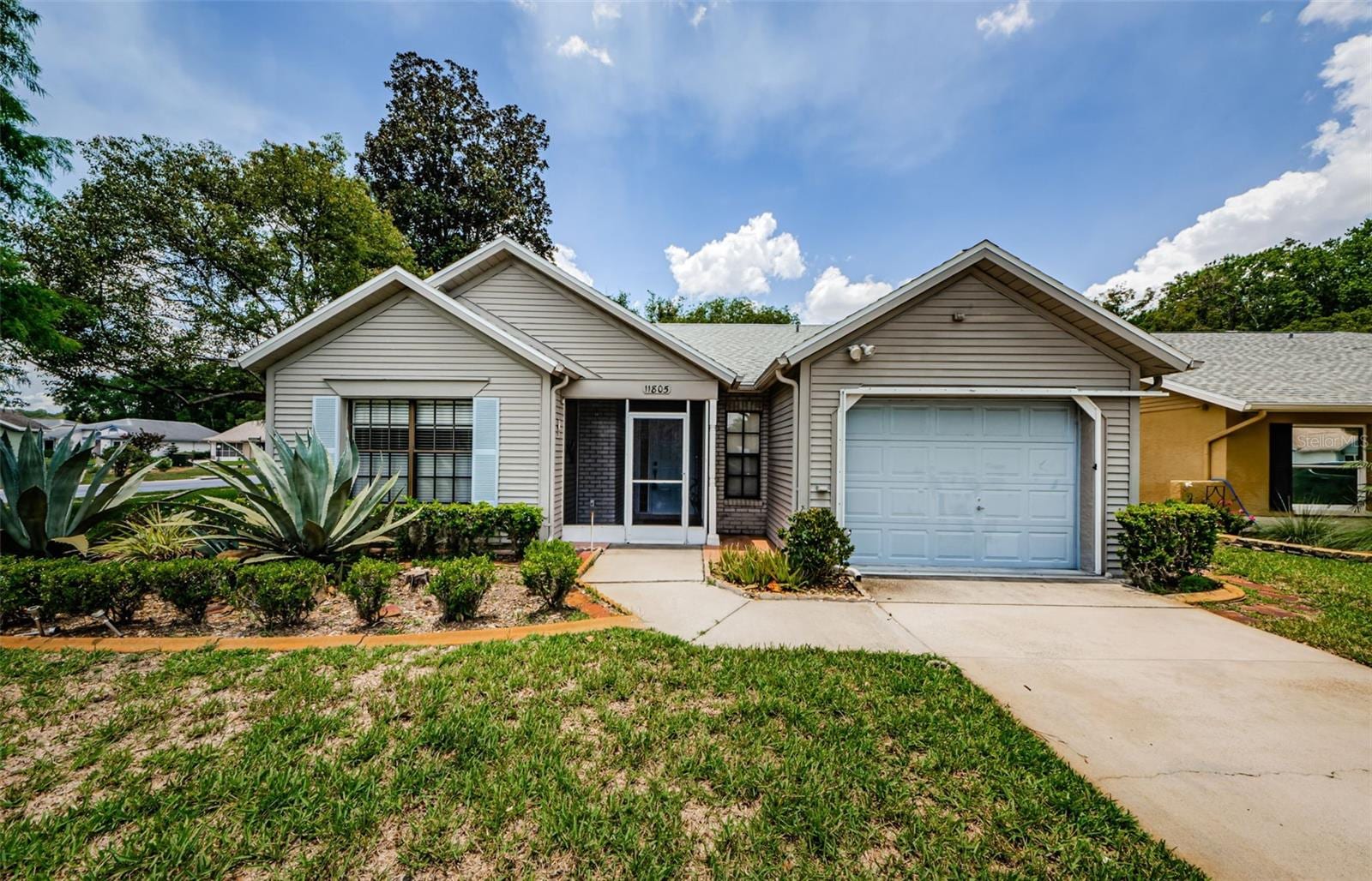 11805 Loblolly Pine Dr photo 2