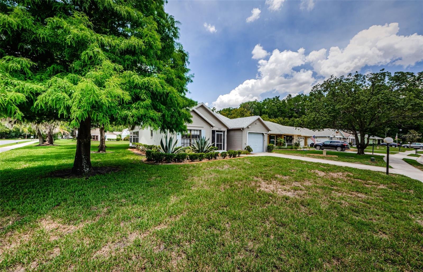 11805 Loblolly Pine Dr photo 3