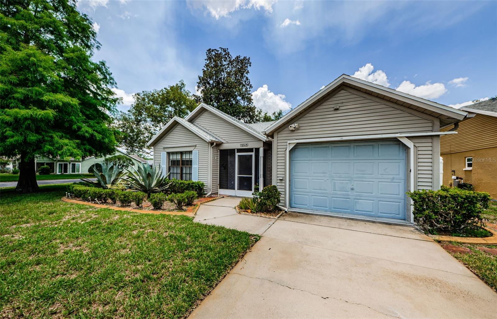 11805 Loblolly Pine Dr photo 4