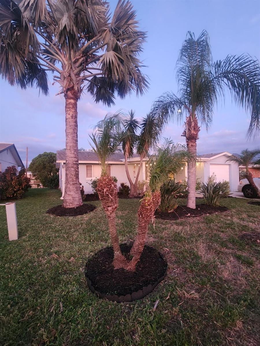 2228 Society Dr photo 3