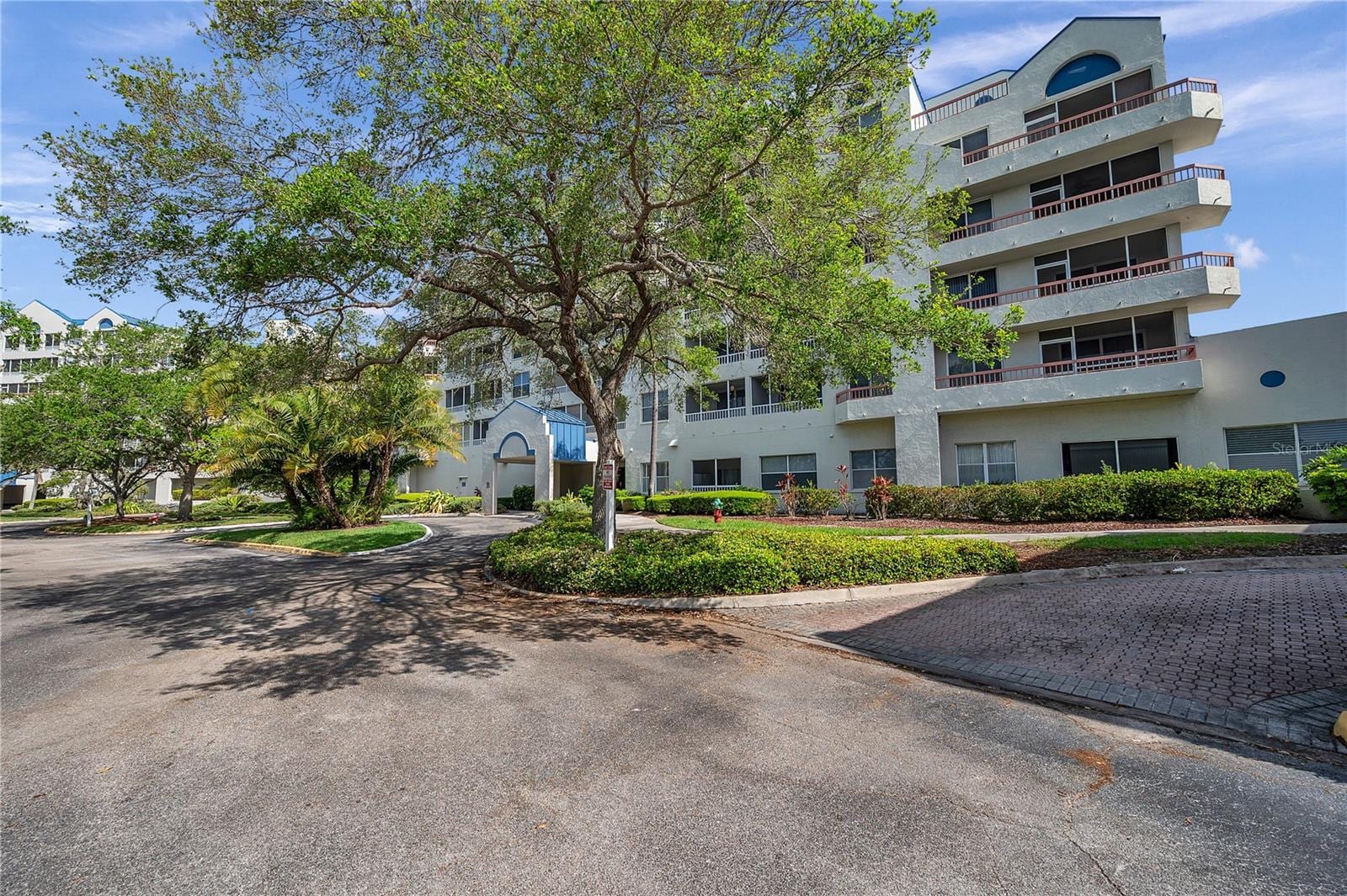 2333 Feather Sound Dr #B307 photo 2