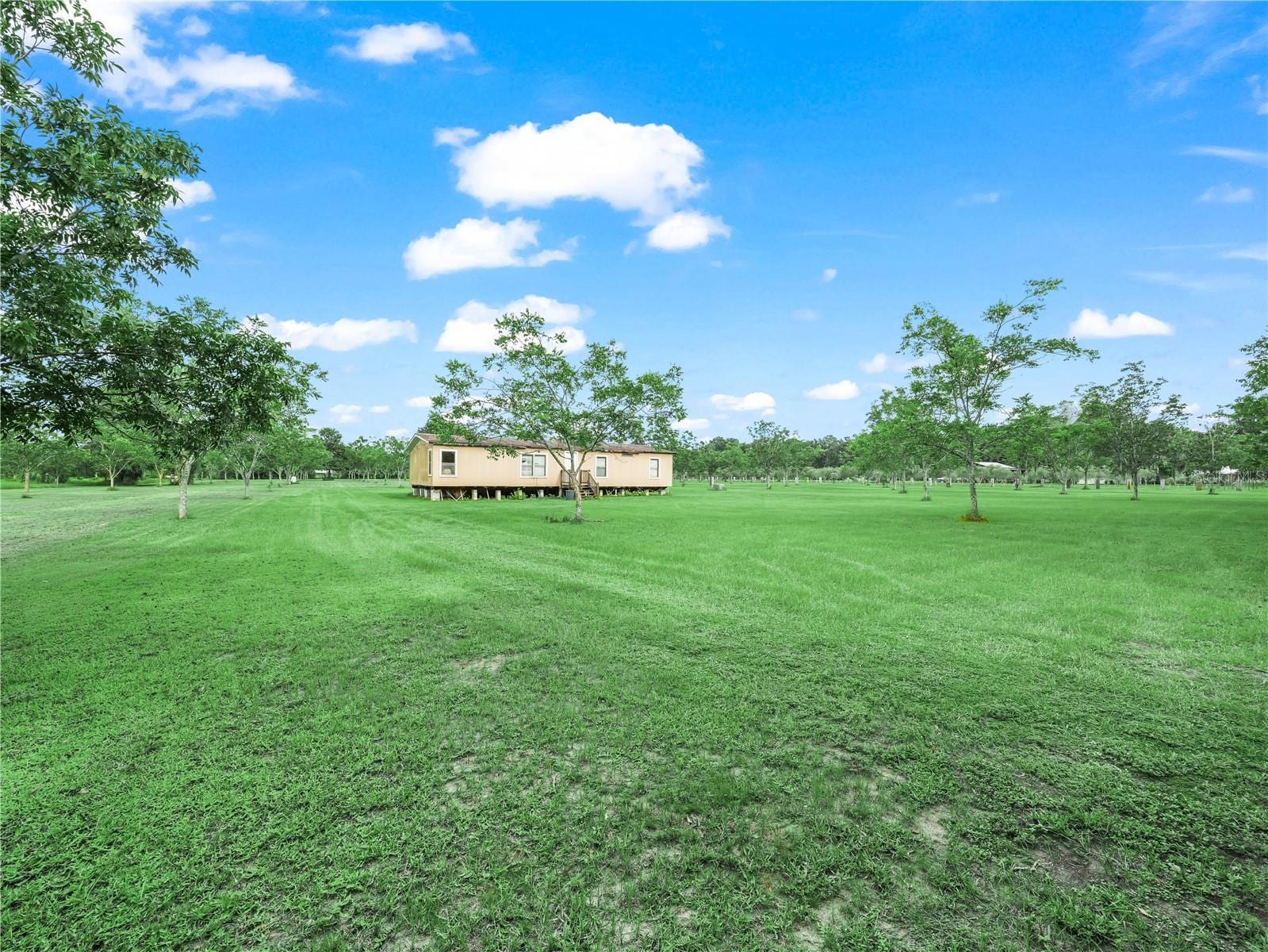 8564 Carey Rd photo 4