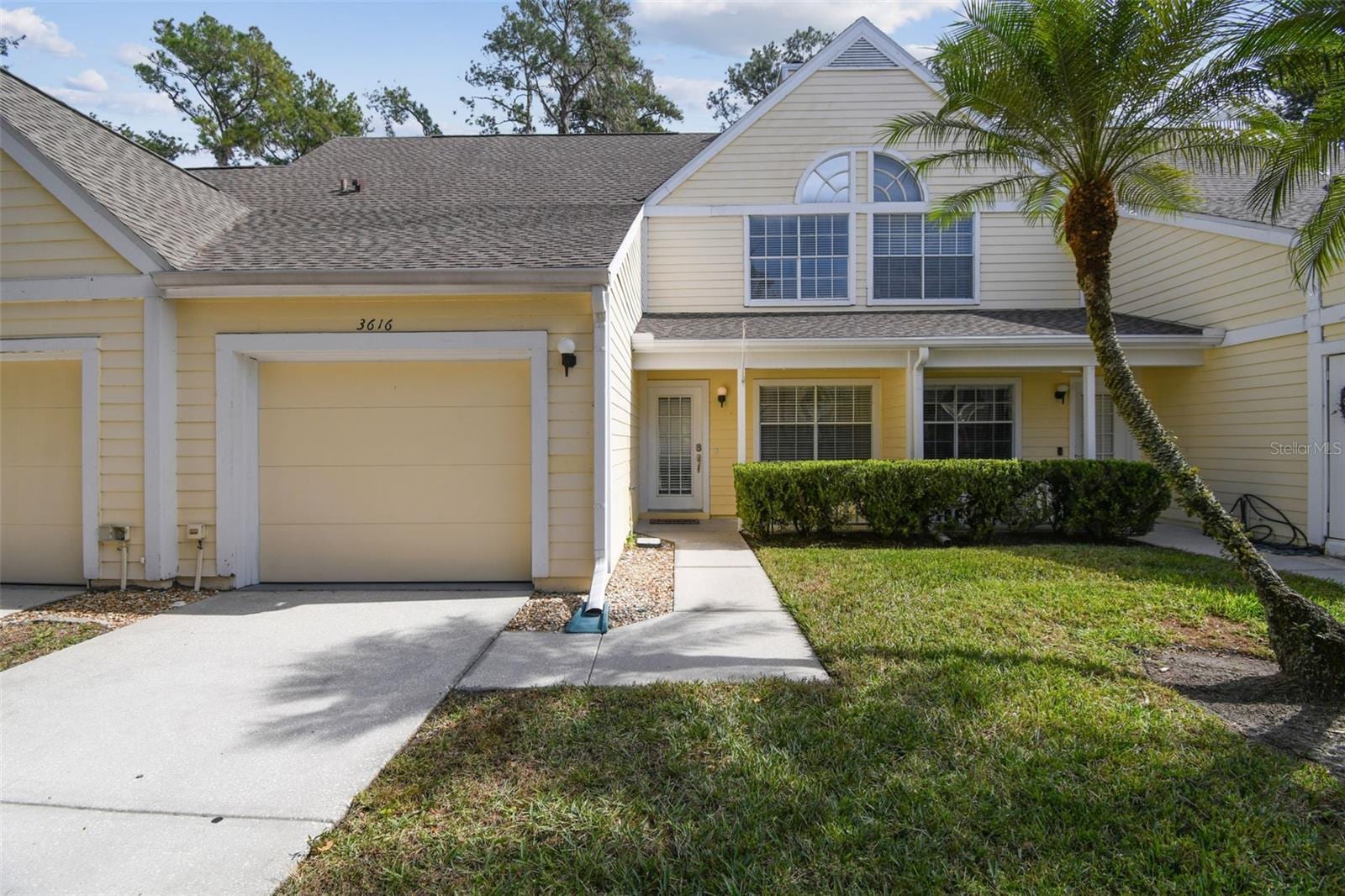 3616 Pine Knot Dr #3616 photo 2
