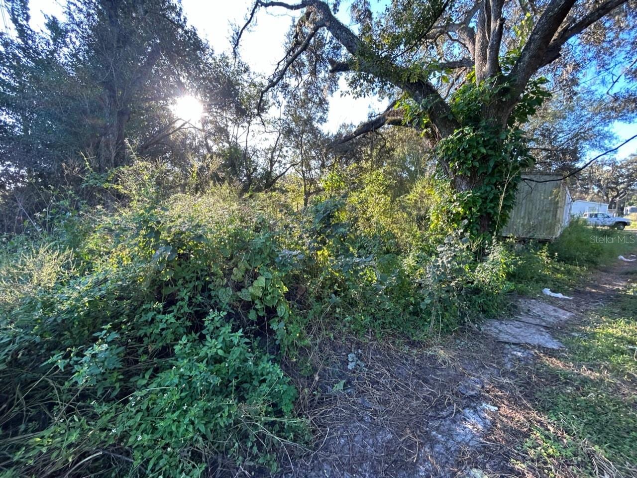 39249 Lizabeth Cir photo 4