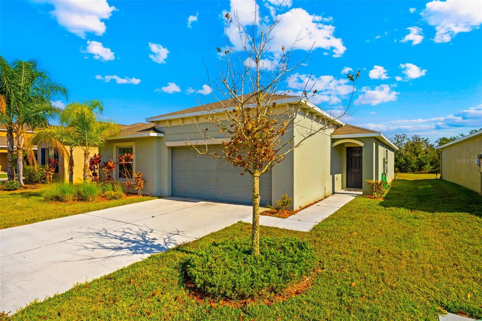 17136 White Mangrove Dr photo 4