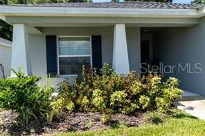 3882 Willow Ridge Dr photo 5