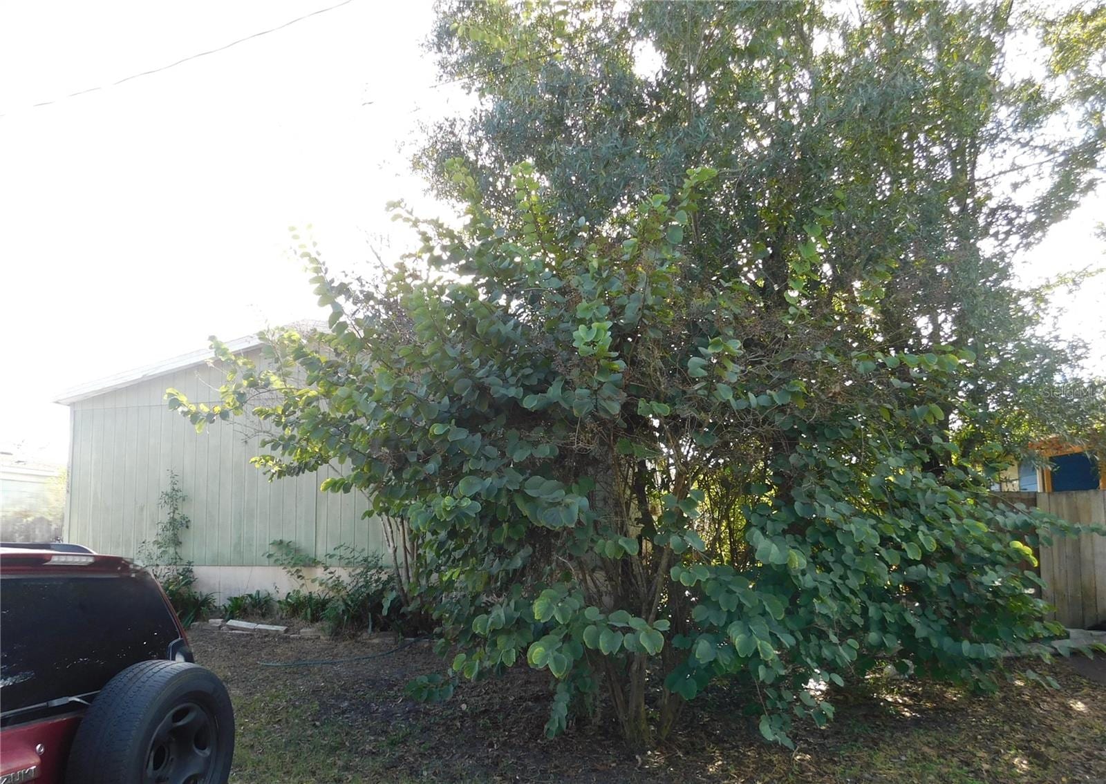 2634 Sea Oats Cir N photo 3