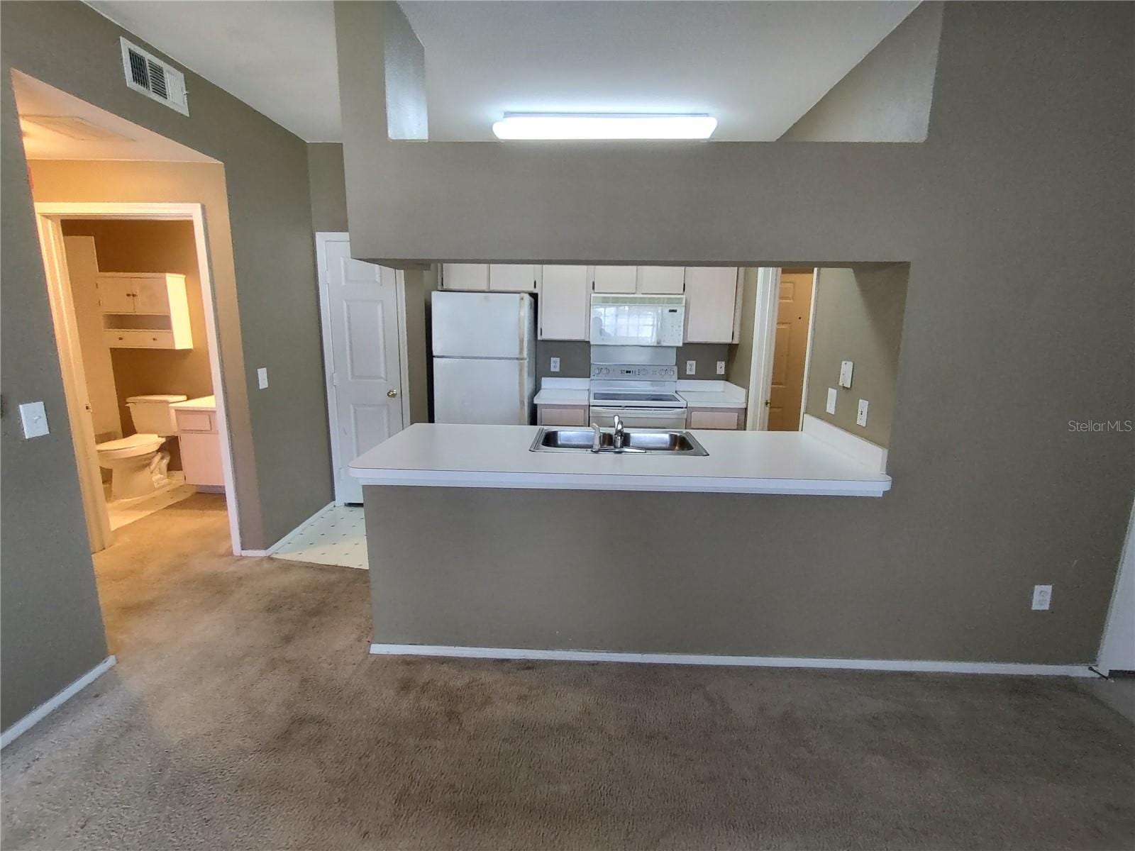 13005 Sanctuary Cove Dr #103 photo 4