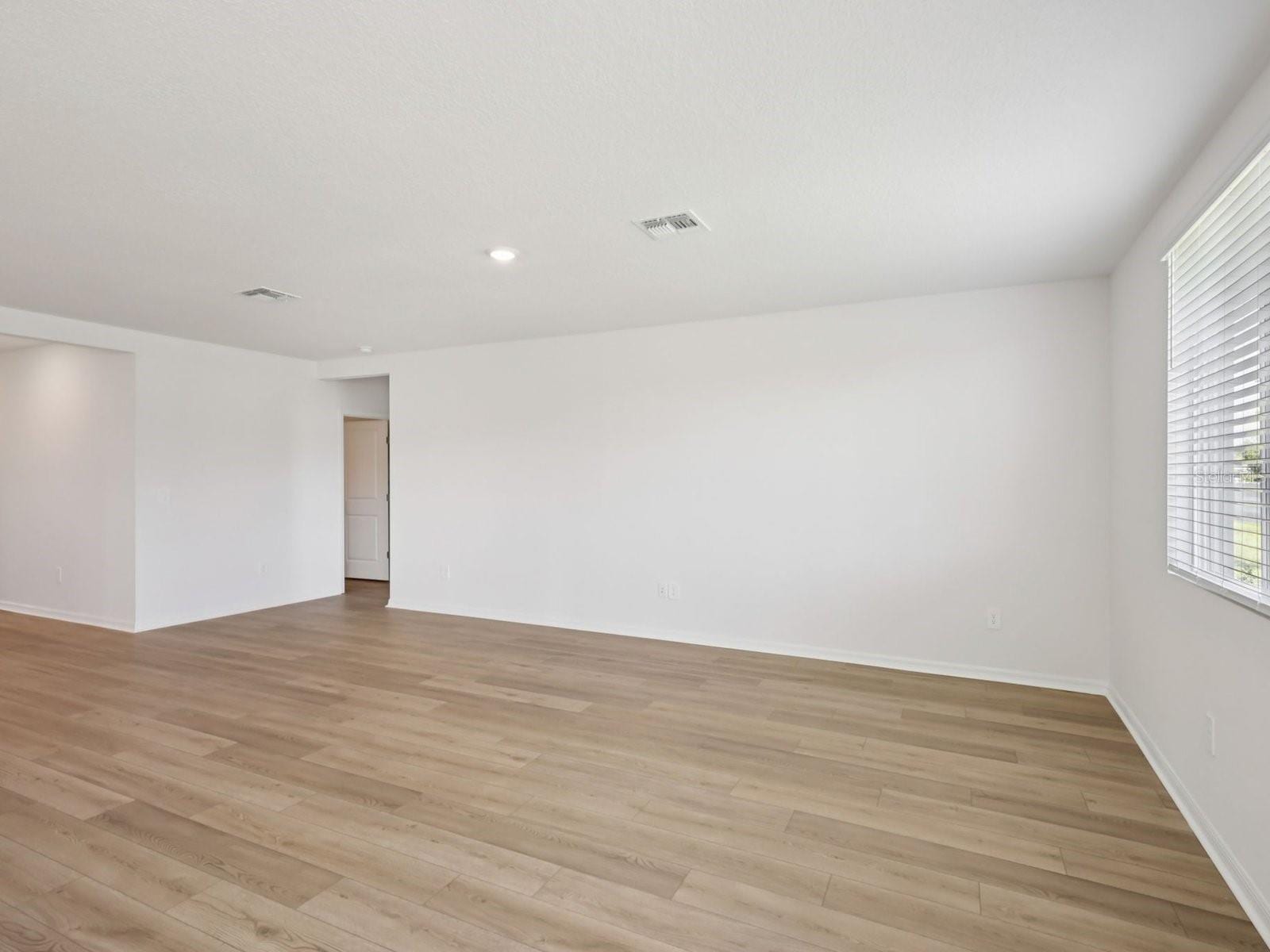 10425 Abundance Grove Way photo 4