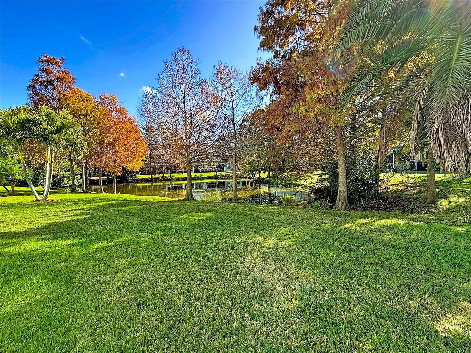 11117 Kapok Grand Cir photo 3