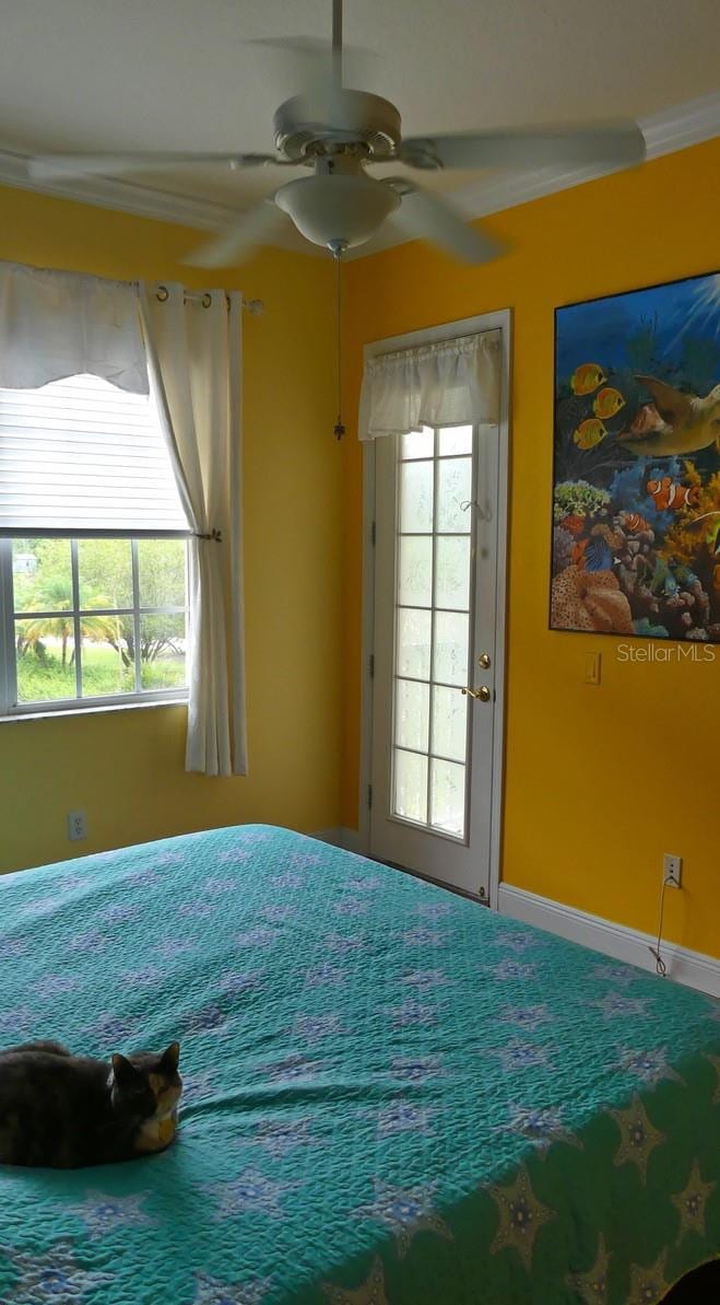 6801 Dali Ave #206 photo 4