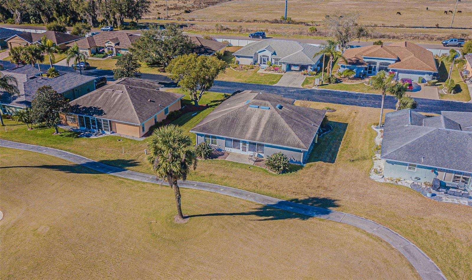 10251 Moshie Ln photo 5