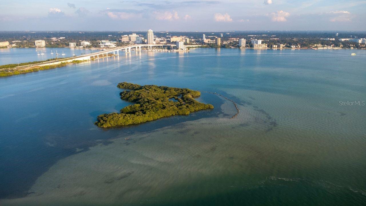 830 S Gulfview Blvd #502 photo 5