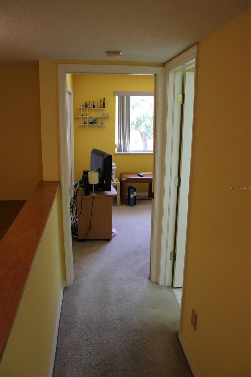 9722 Indian Key Trl #116 photo 4