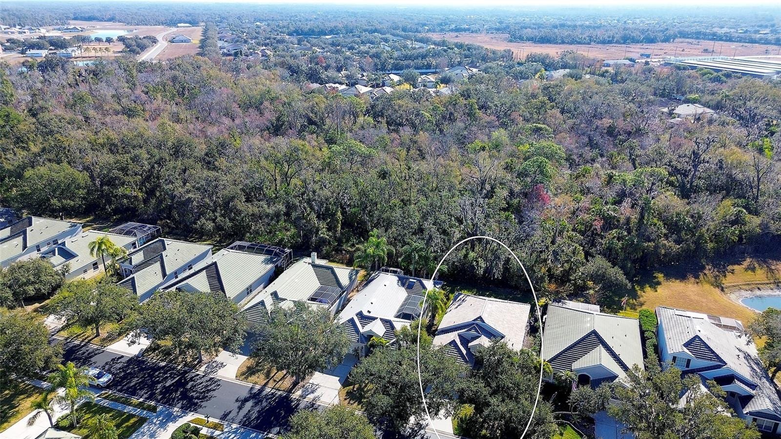 3022 Woodland Fern Dr photo 3