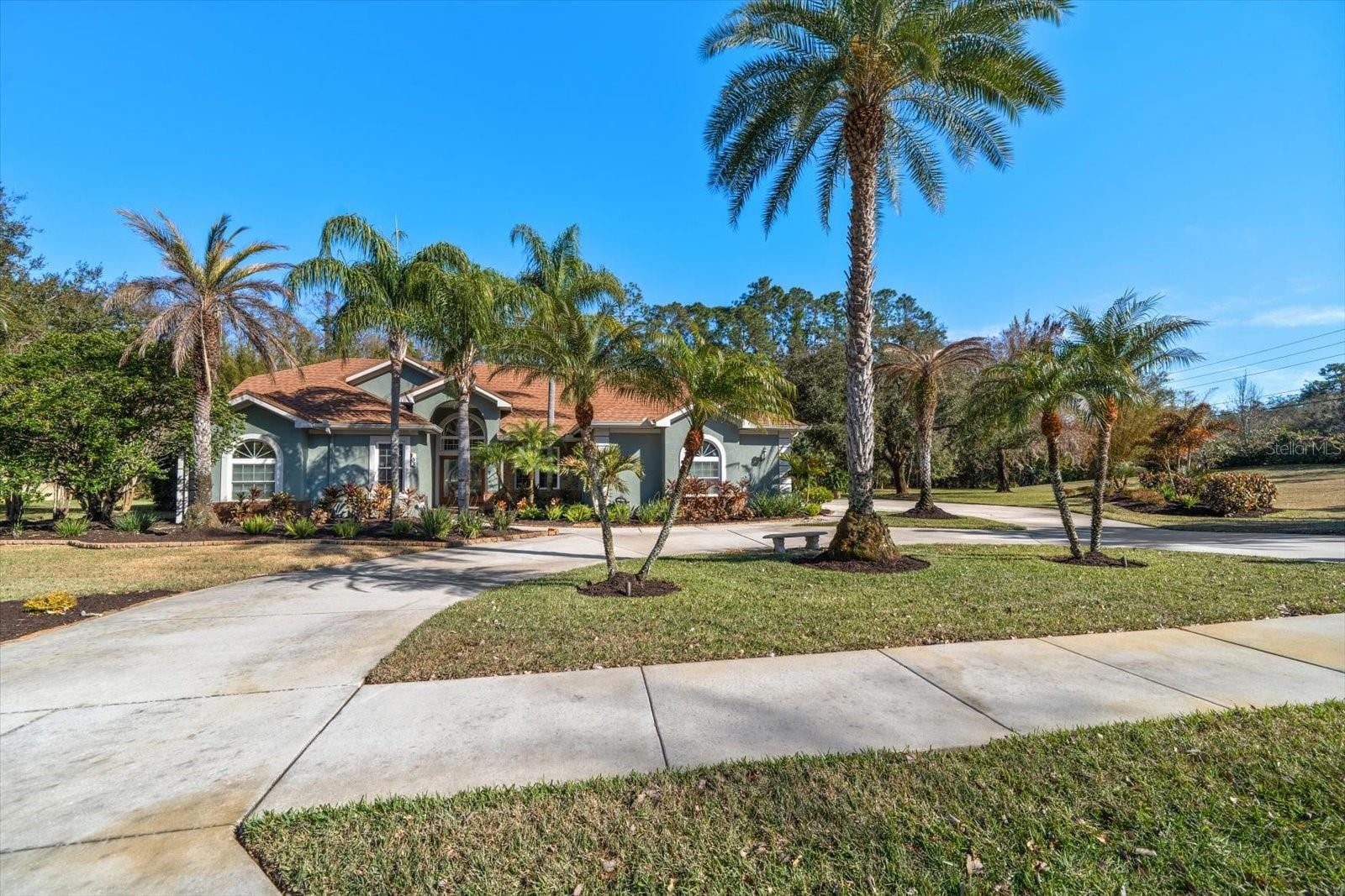 103 Silver Moss Ln photo 3