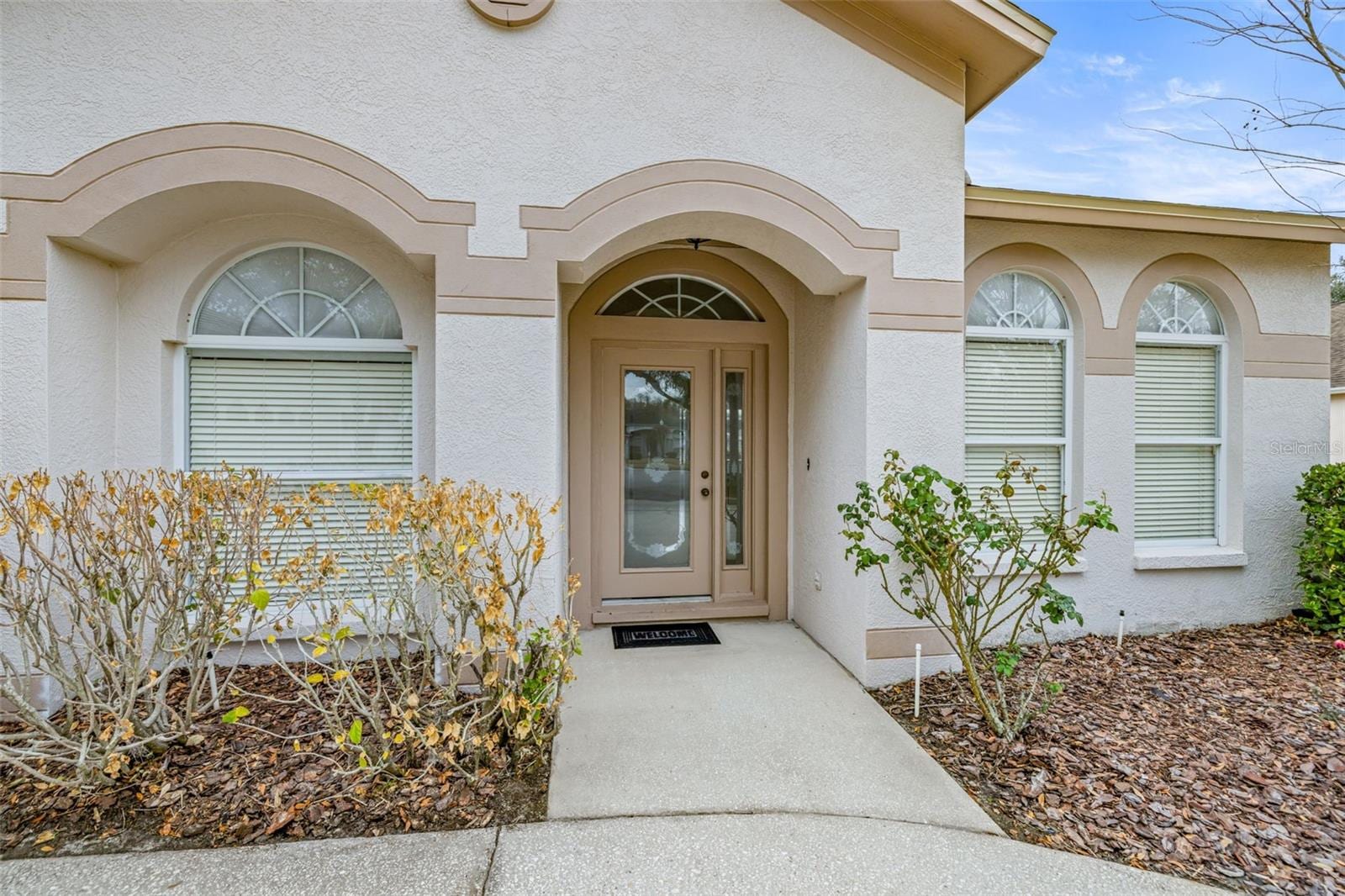 10246 Timberland Point Dr photo 2