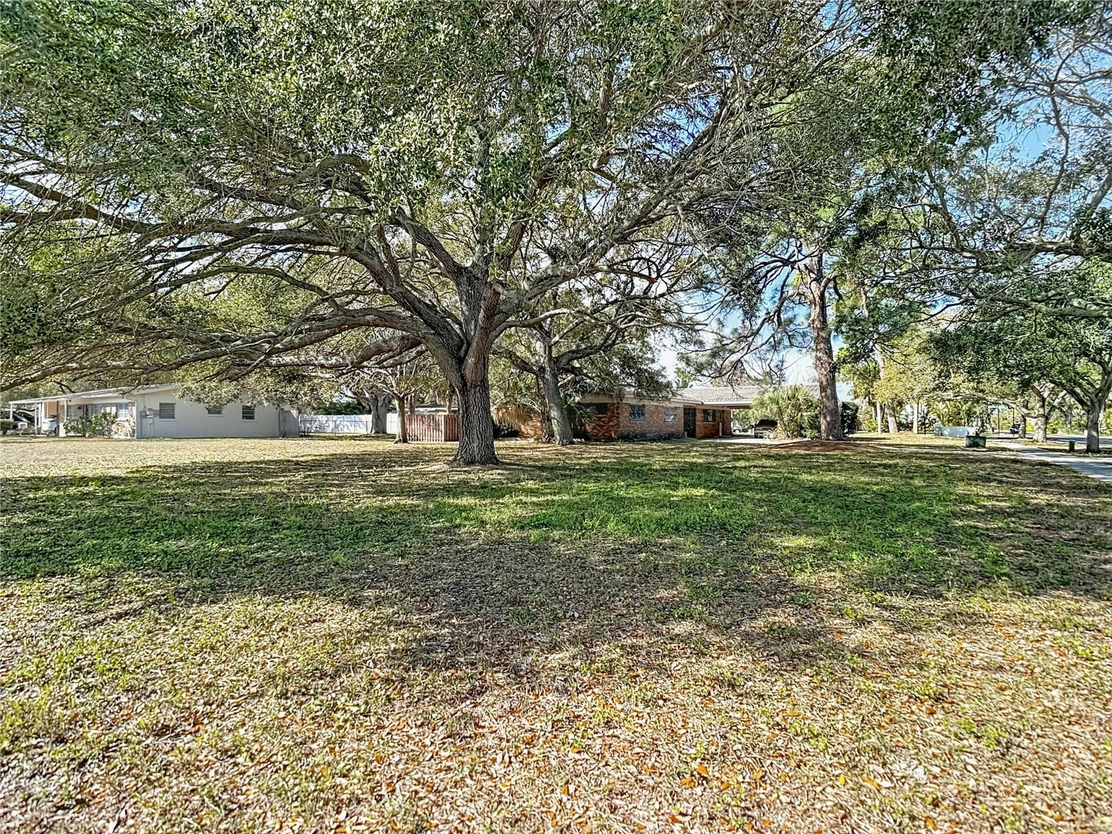 3700 Dana Shores Dr photo 3