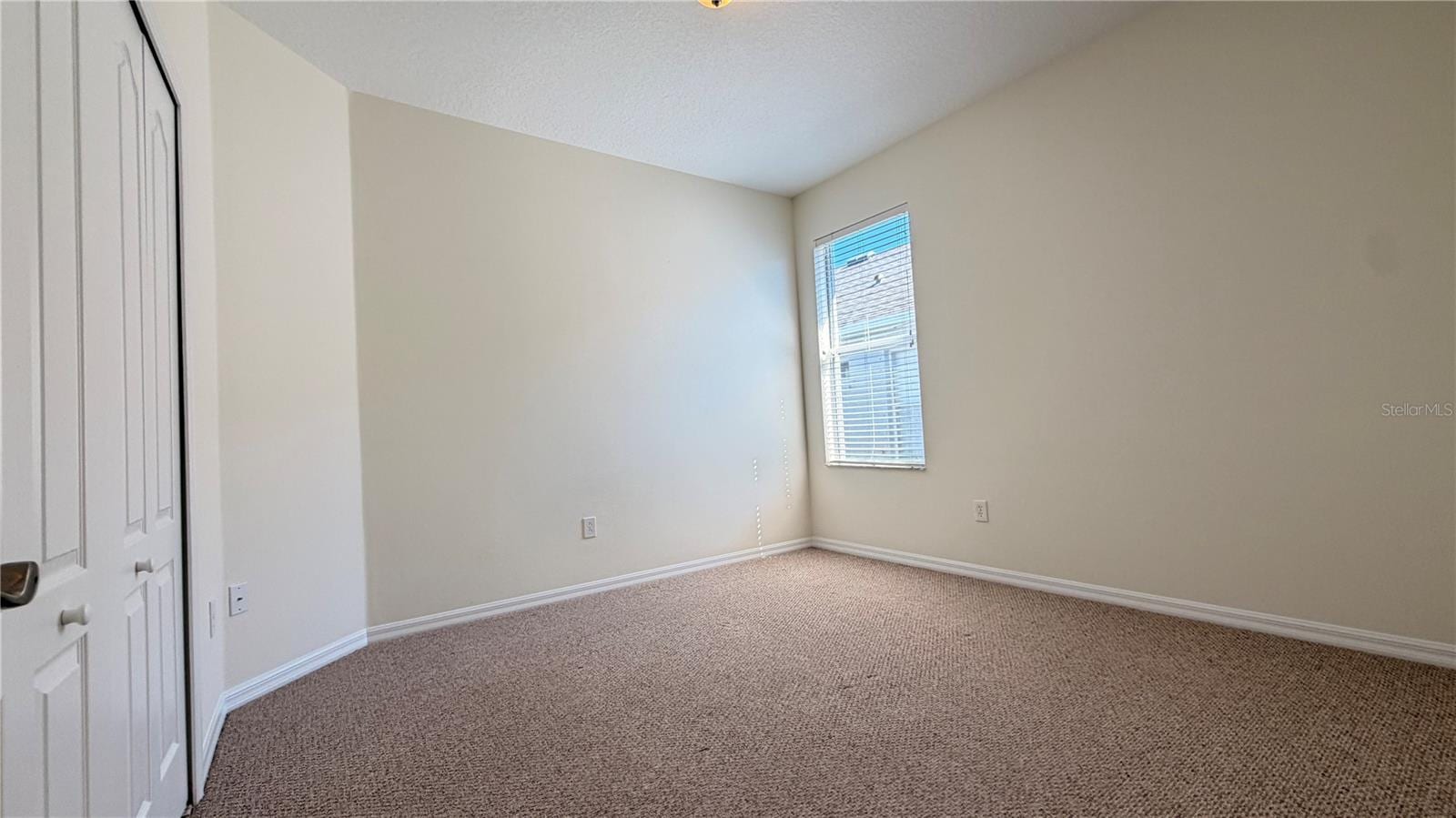 1643 Bonita Bluff CT photo 3